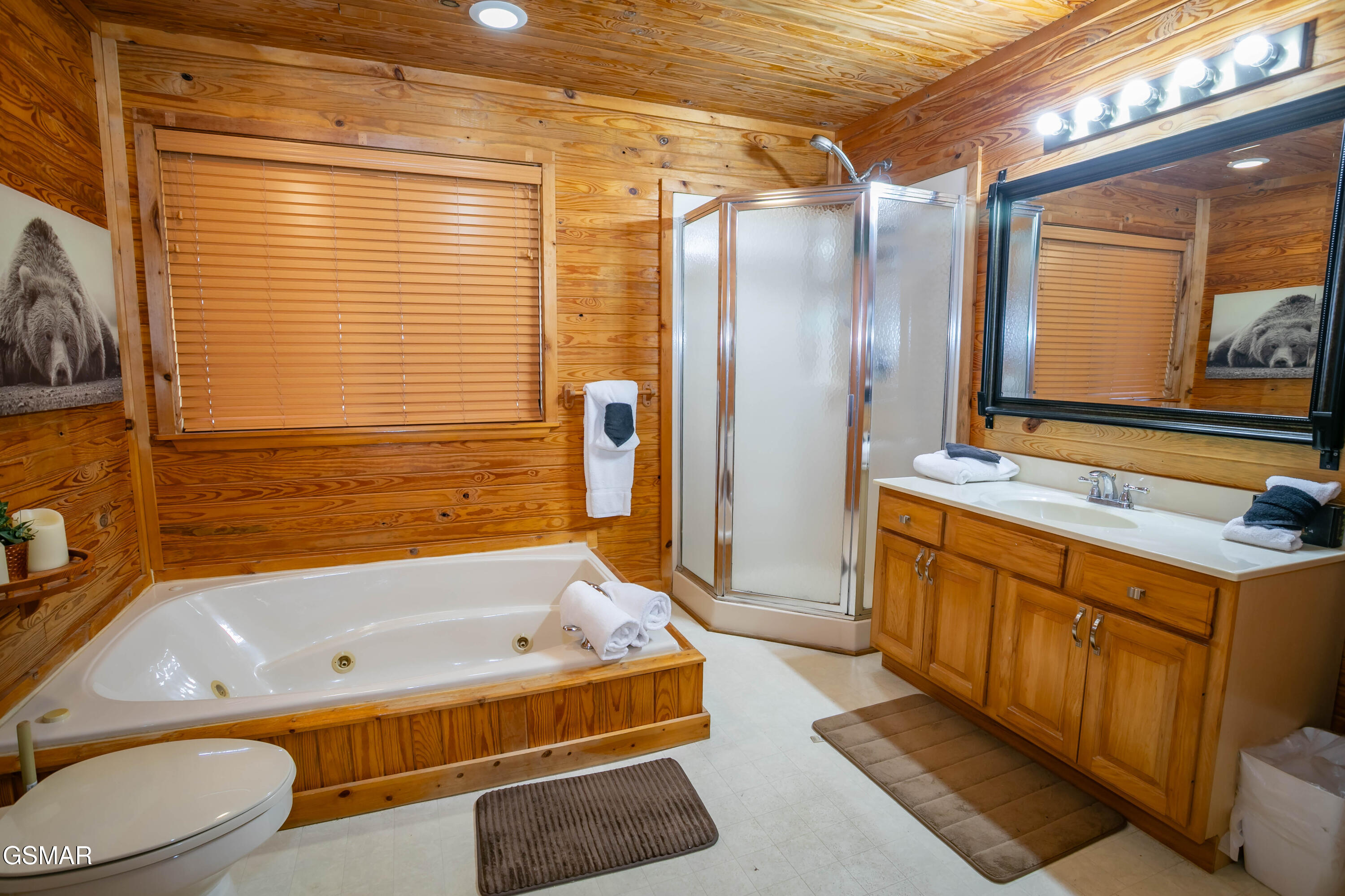 3849 Saddle Brook Way Sevierville TN 37862