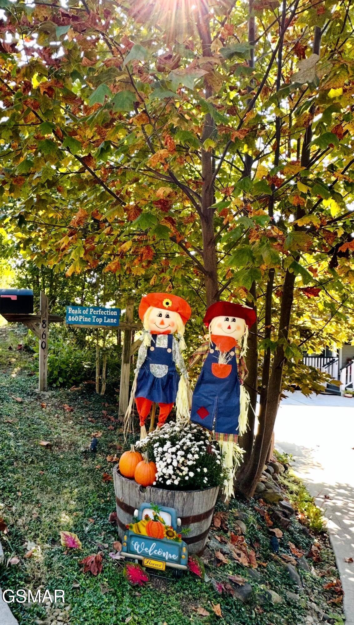 860 Pine Top Lane Gatlinburg TN 37738