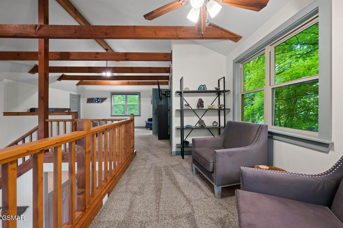 438 Laurel Road Townsend TN 37882