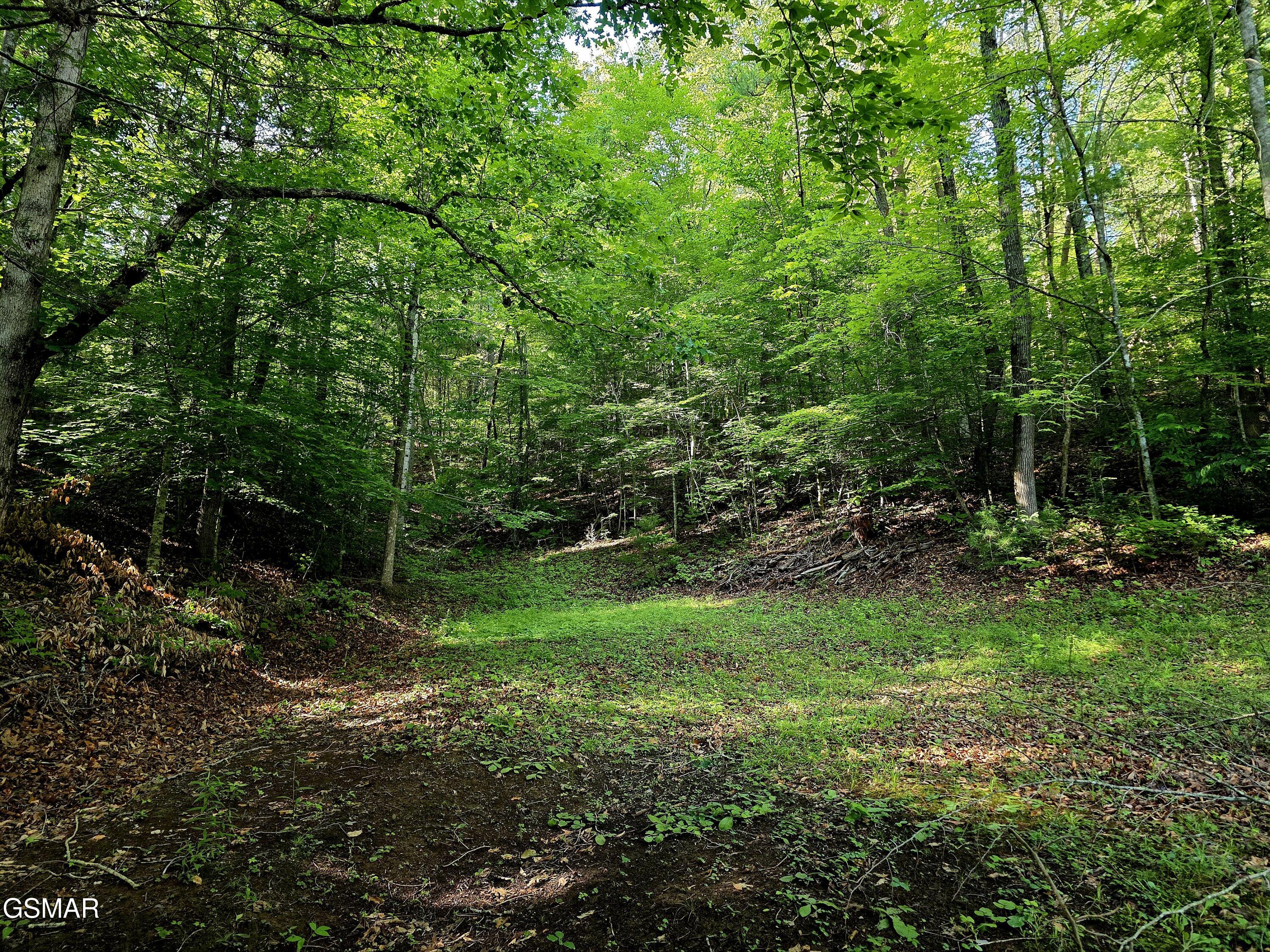 2824 Mary Ridge Farm Road Sevierville TN 37862