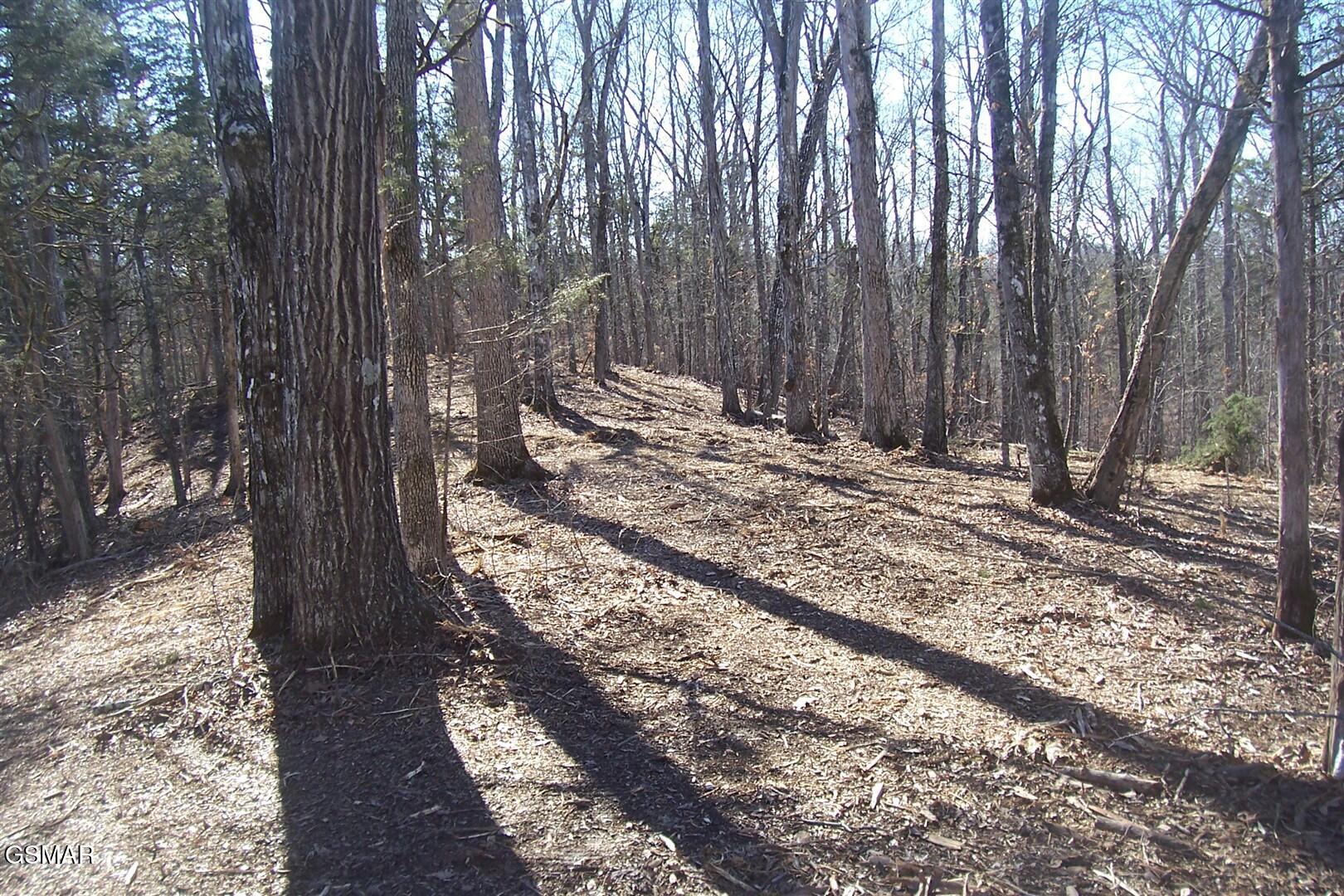 798 Fairgarden Circle Sevierville TN 37876