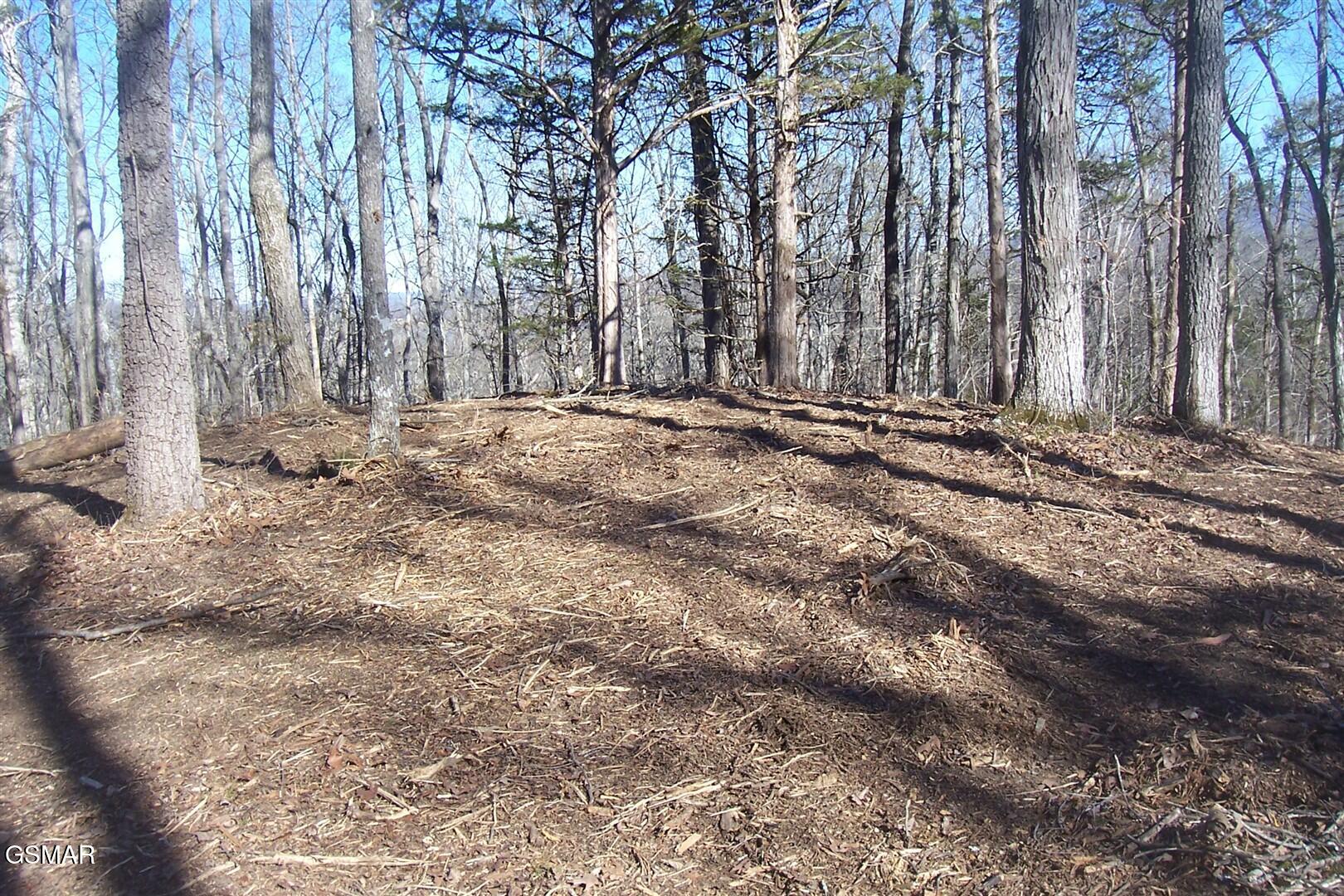 798 Fairgarden Circle Sevierville TN 37876