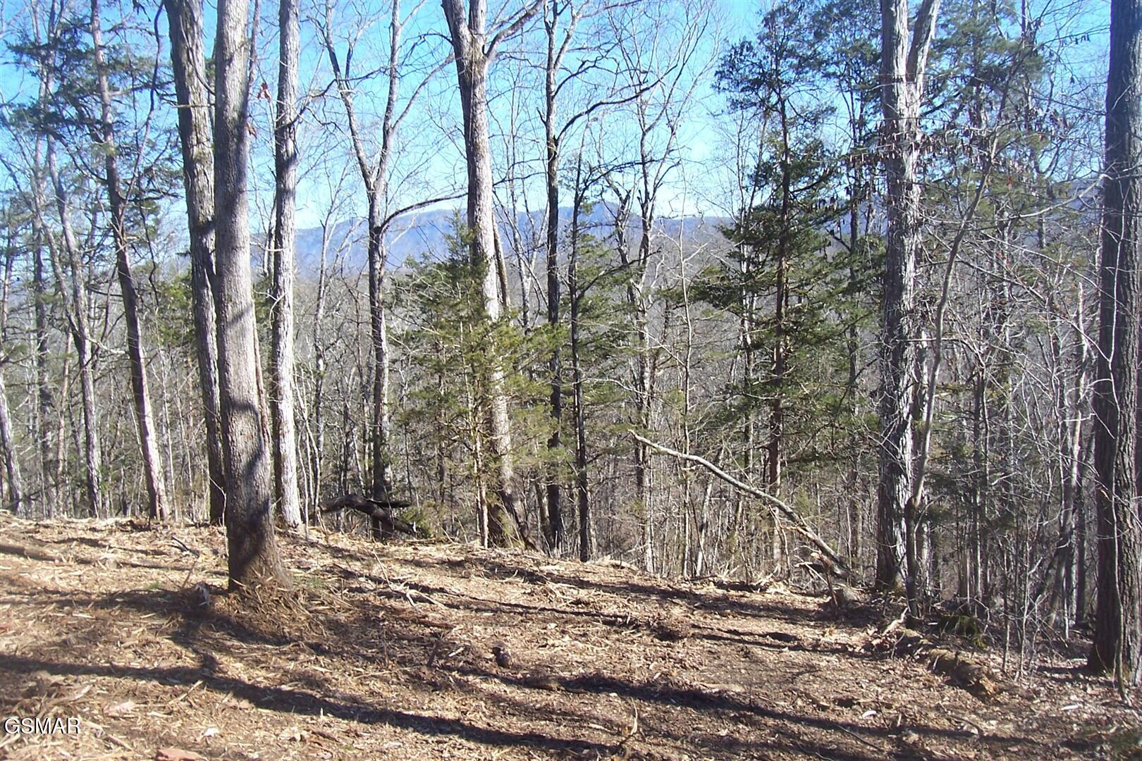 798 Fairgarden Circle Sevierville TN 37876