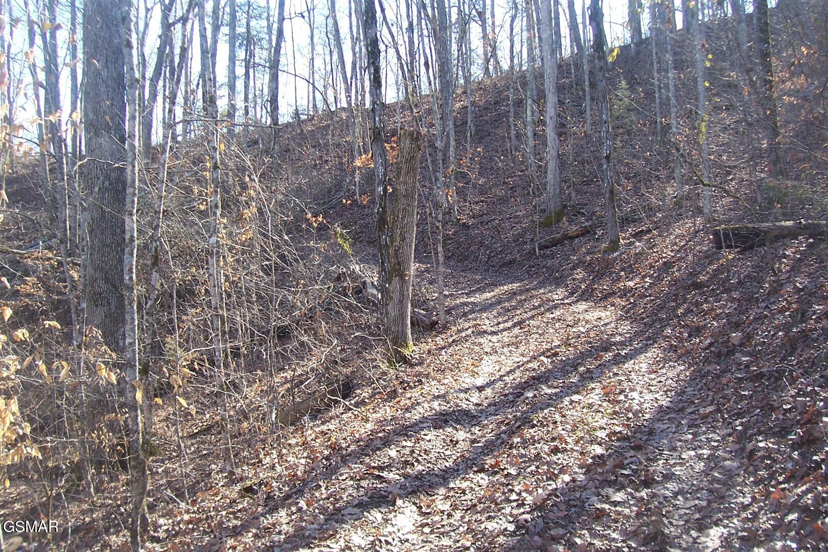 798 Fairgarden Circle Sevierville TN 37876