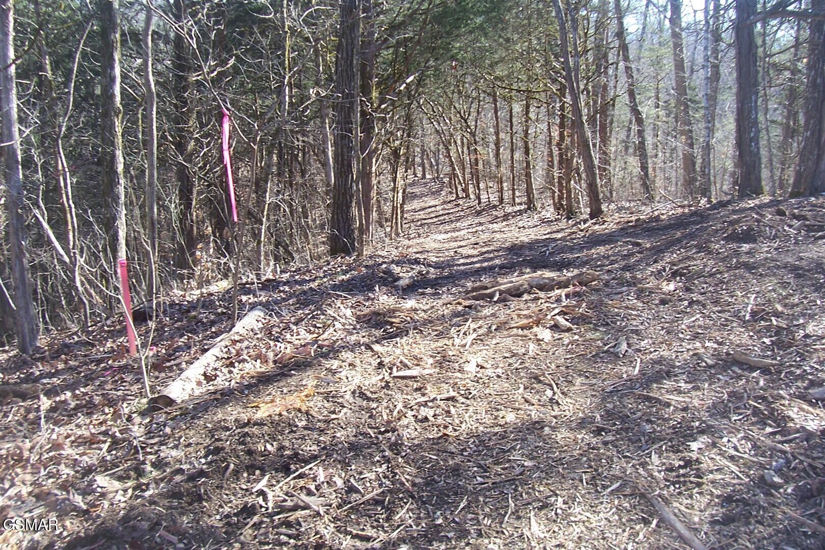 798 Fairgarden Circle Sevierville TN 37876