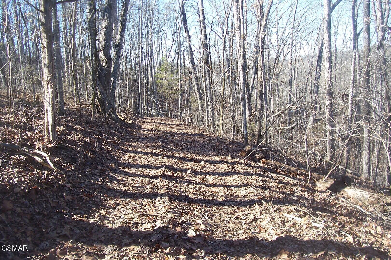 798 Fairgarden Circle Sevierville TN 37876