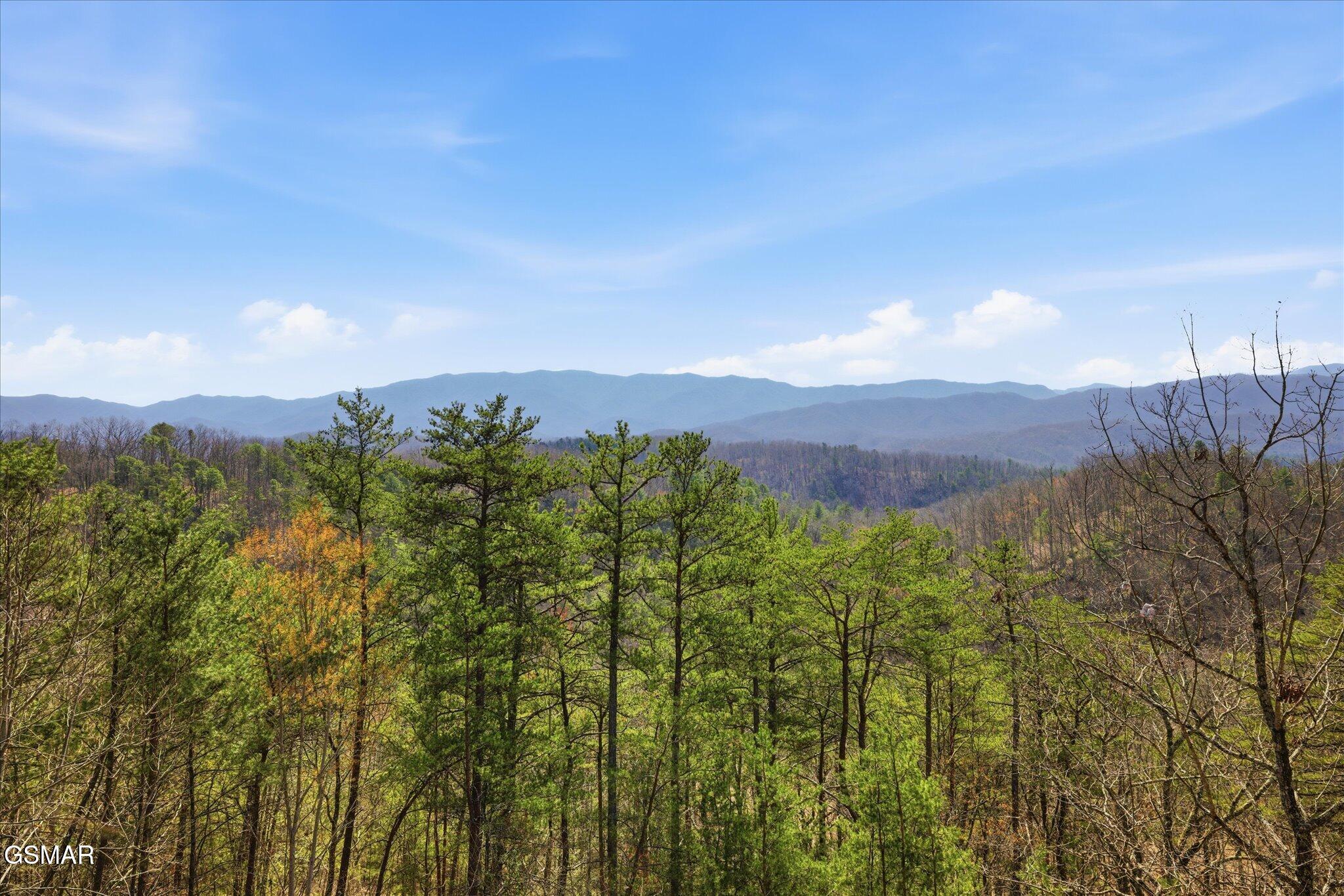 4659 Wesley Way Sevierville TN 37876