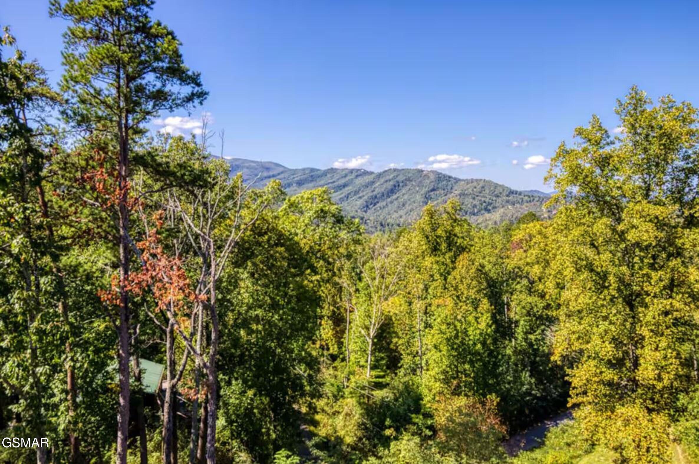 622 Timber Ridge Road Gatlinburg TN 37738