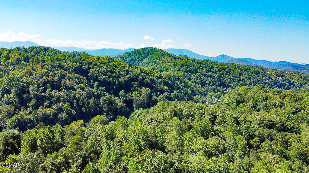 1643 Arron Way Sevierville TN 37876