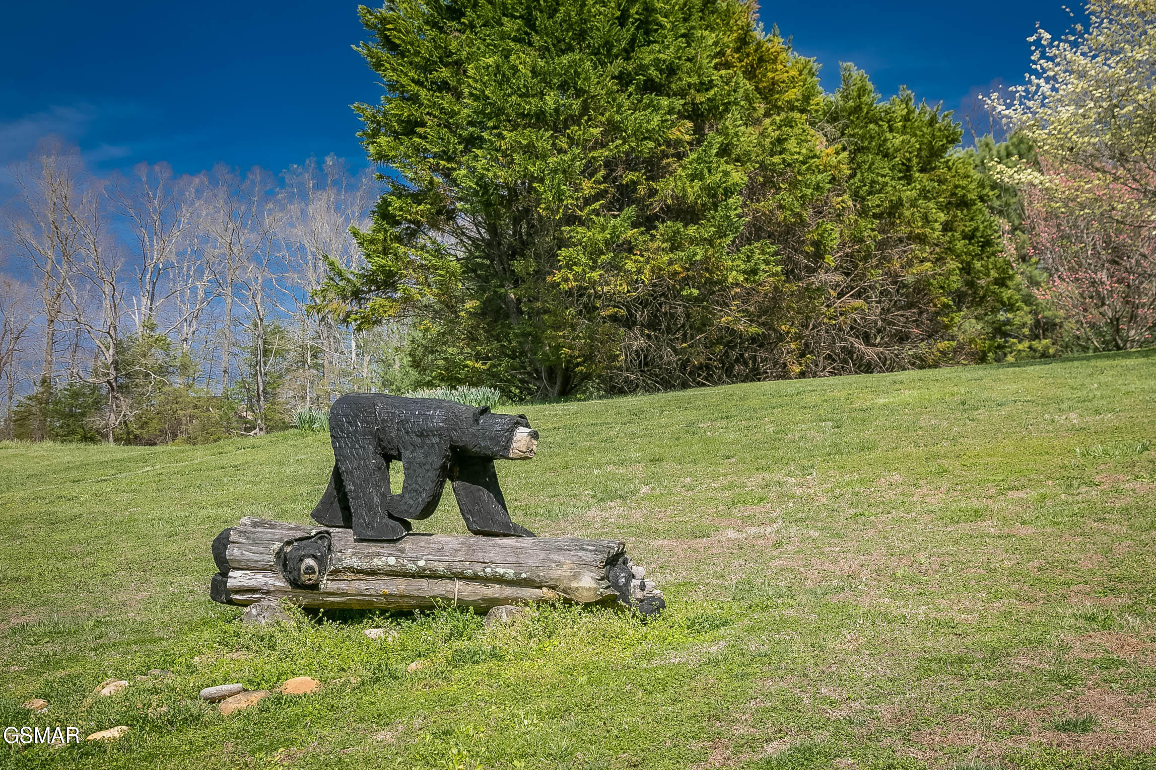 3385 Clear Valley Drive Sevierville TN 37862