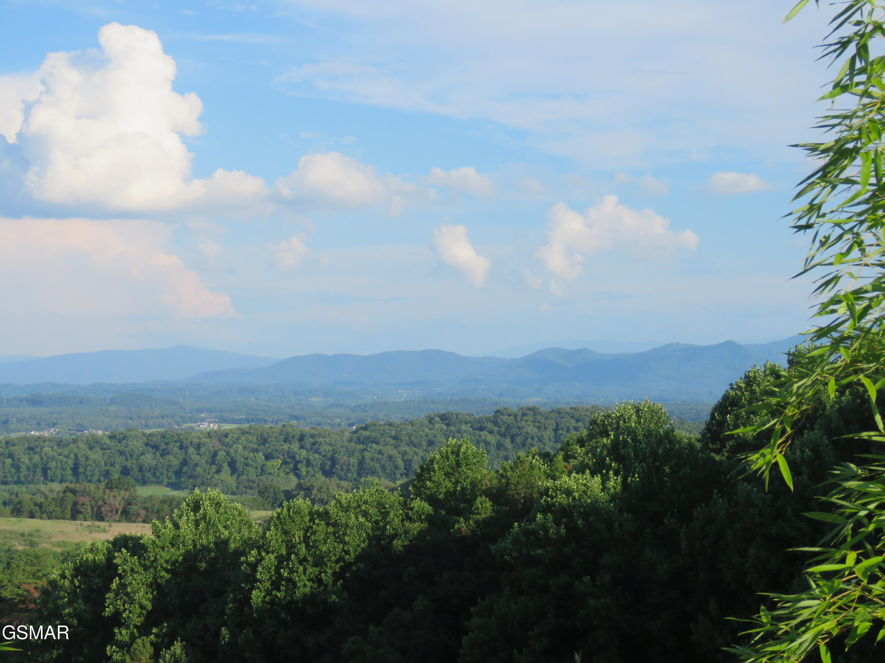2425 Promise Lane White Pine TN 37890