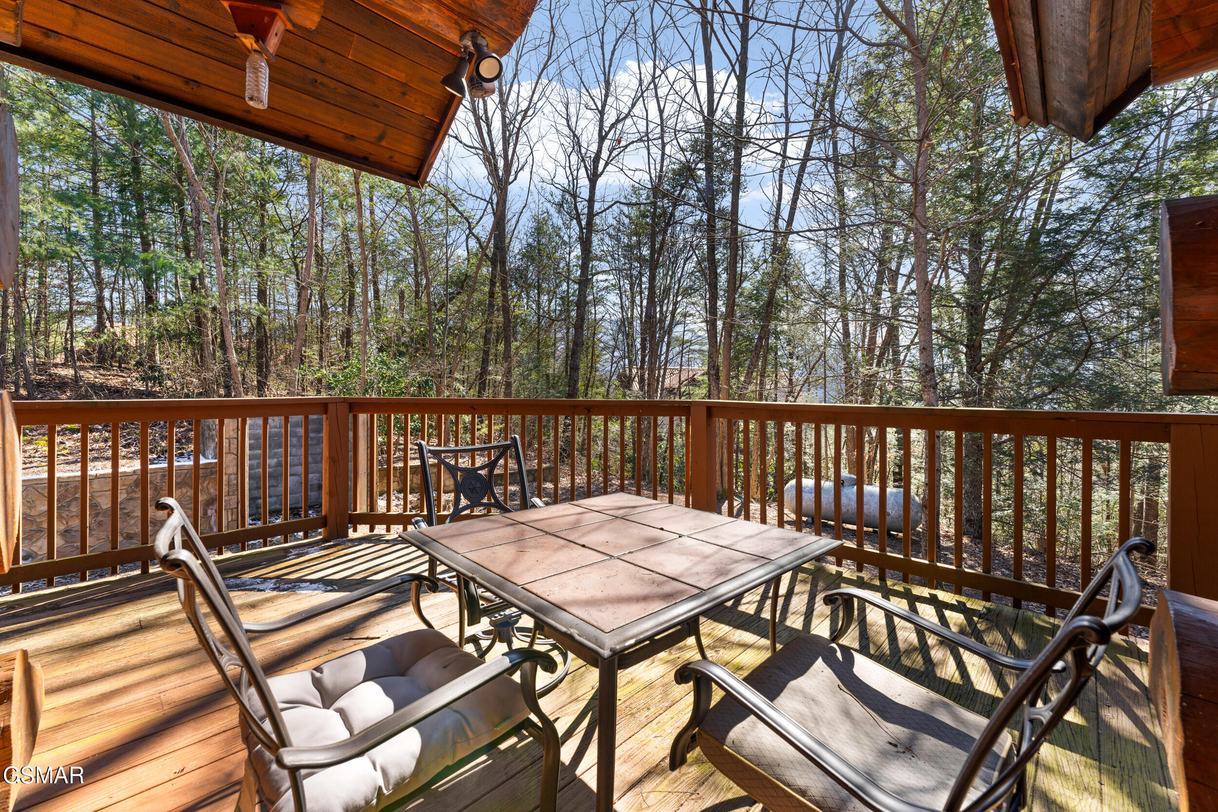 438 Coyote Road Gatlinburg TN 37738