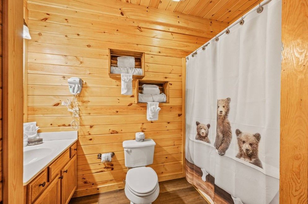 2205 Eagle Feather Drive Sevierville TN 37876