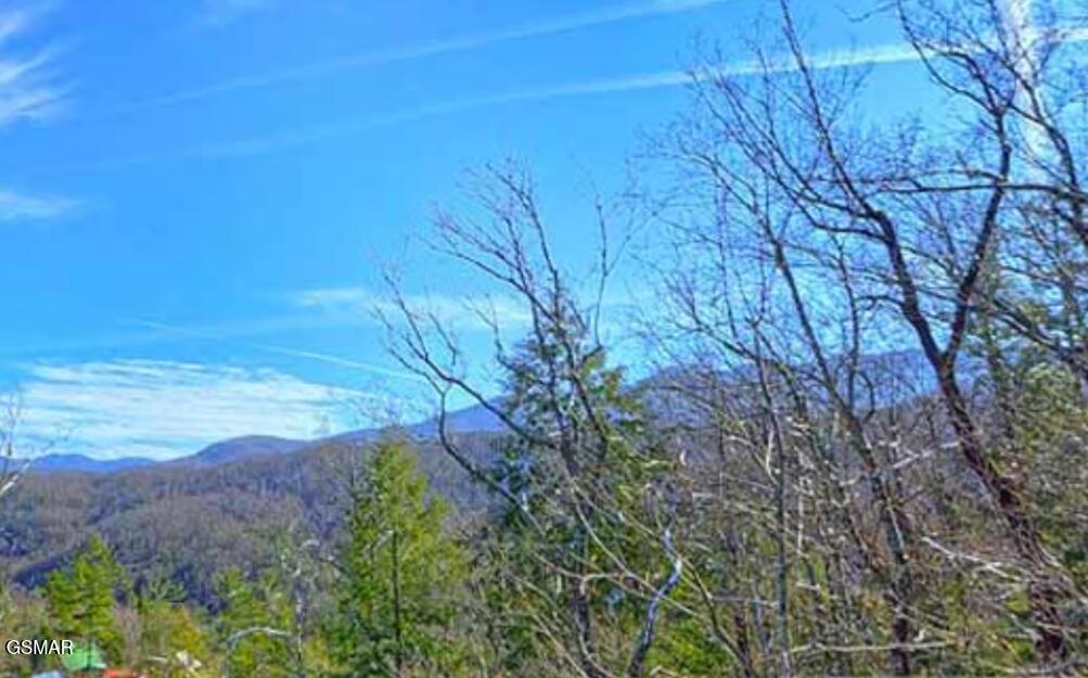 1779 Mountain Shadows Way Gatlinburg TN 37738