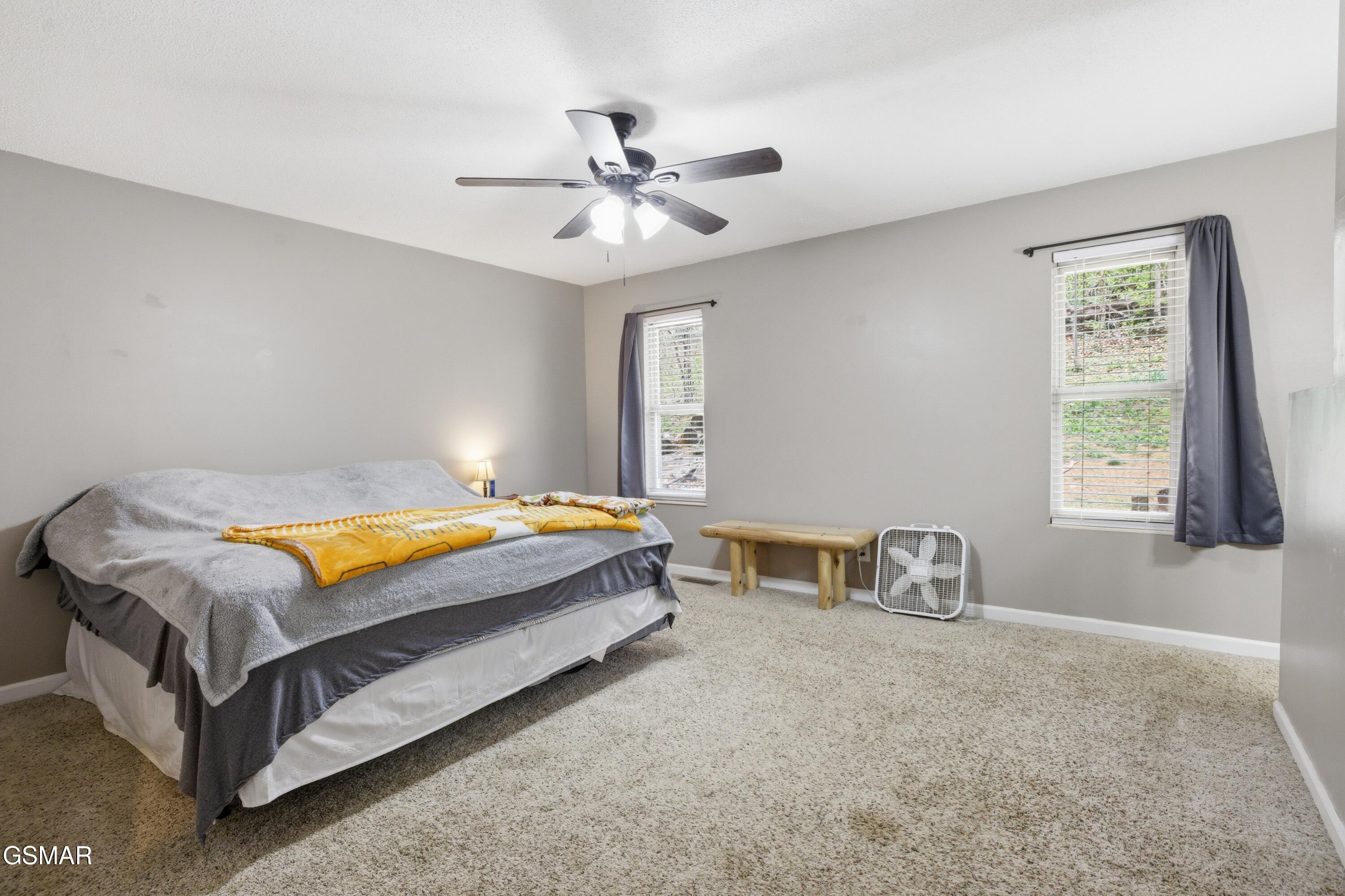 521 Amarillo Drive Seymour TN 37865