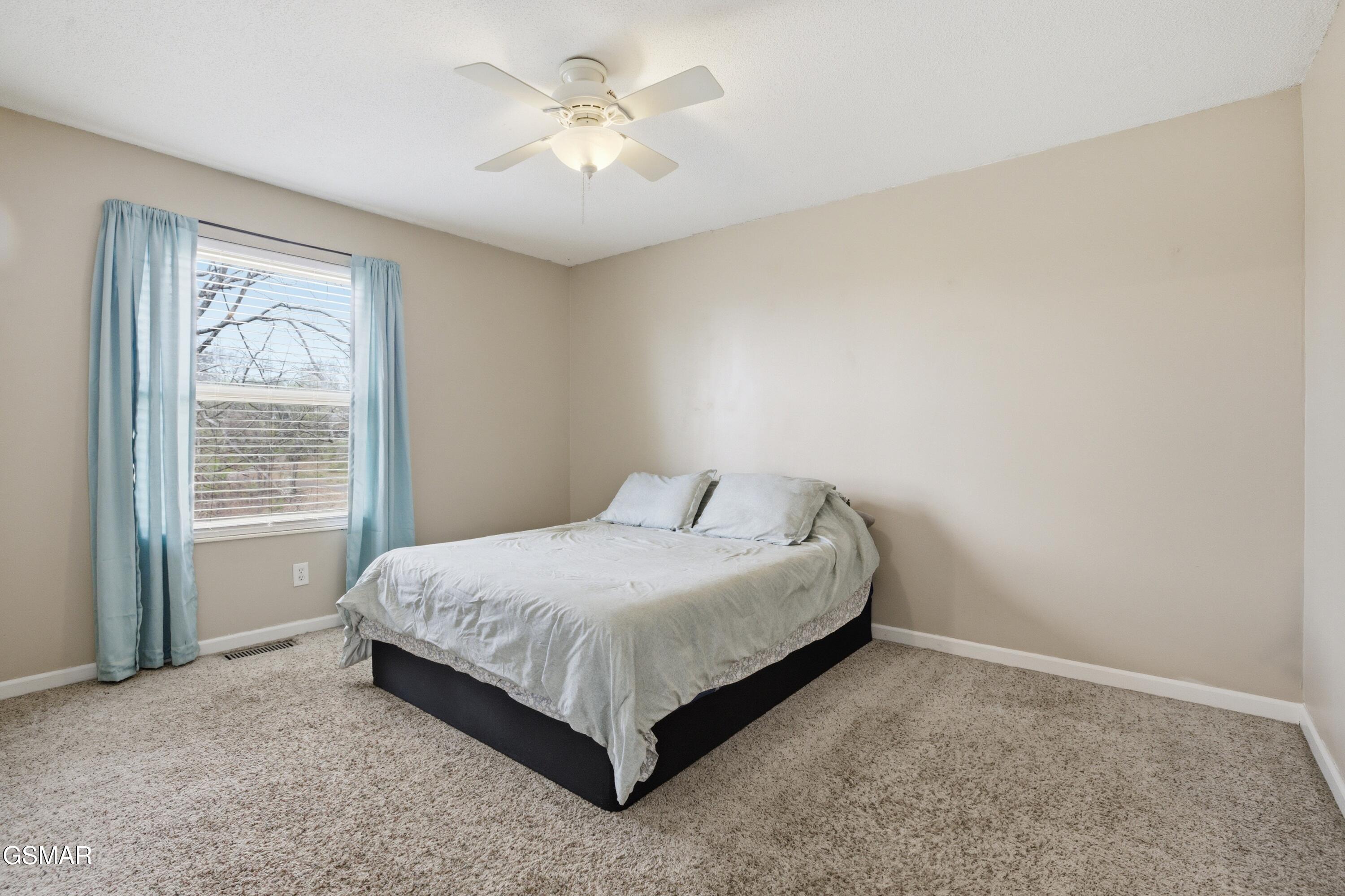 521 Amarillo Drive Seymour TN 37865