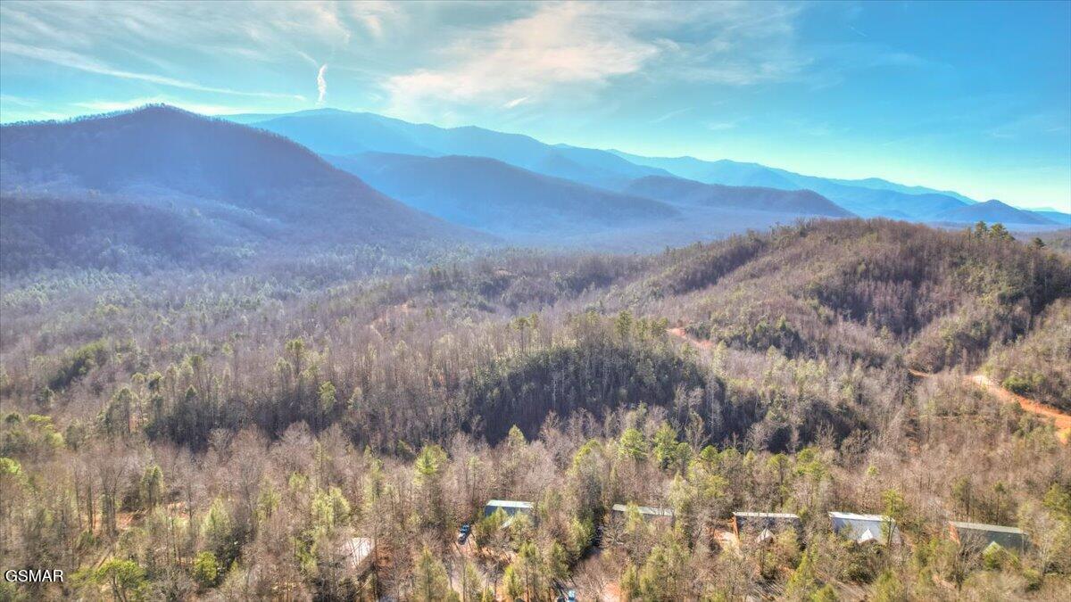 181 Highway 32 Cosby TN 37722