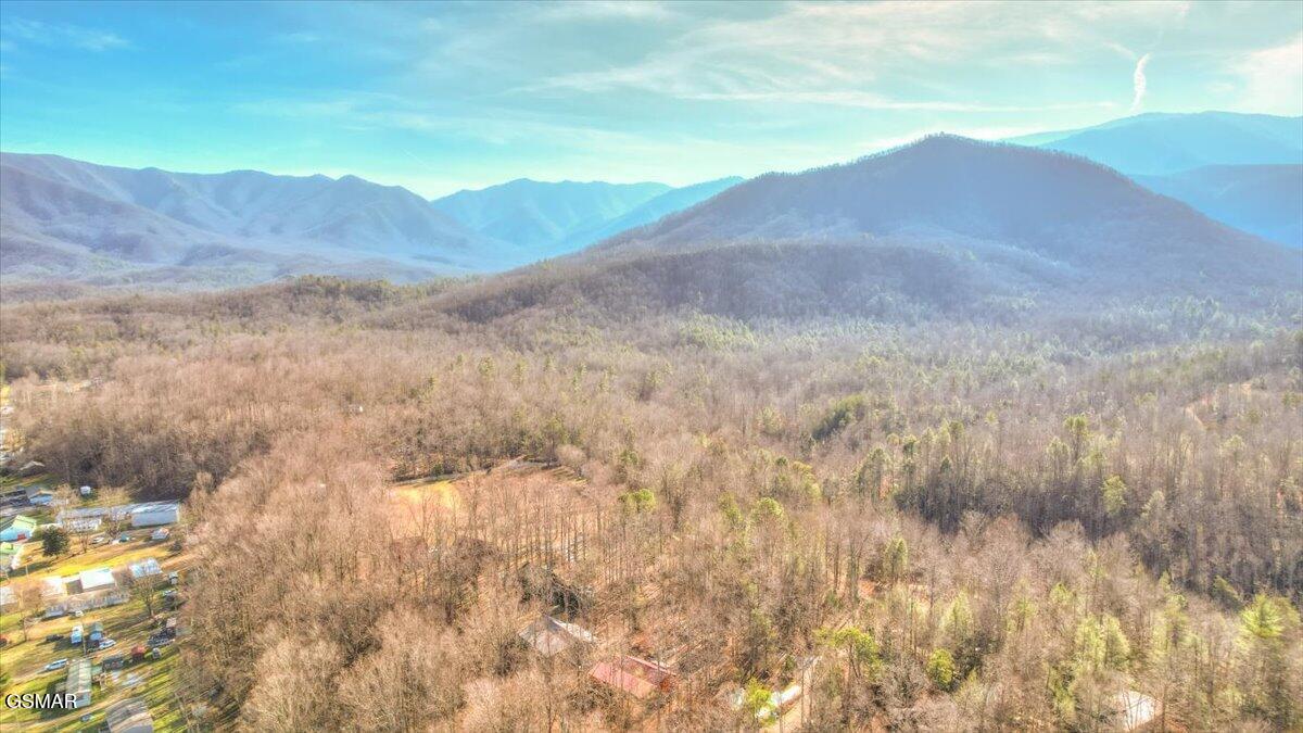 181 Highway 32 Cosby TN 37722