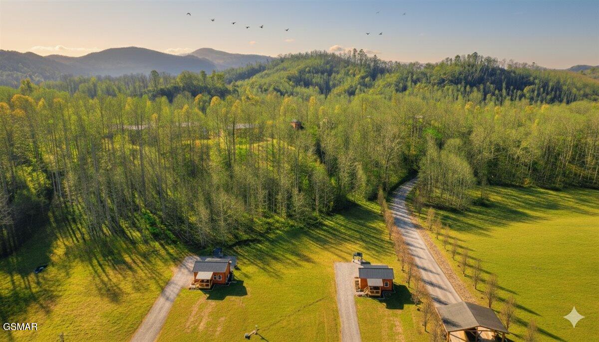 181 Highway 32 Cosby TN 37722