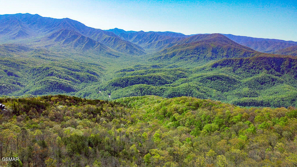 2307 Smoky Mountain Court Gatlinburg TN 37738