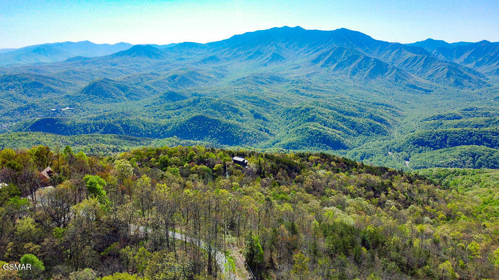 2307 Smoky Mountain Court Gatlinburg TN 37738