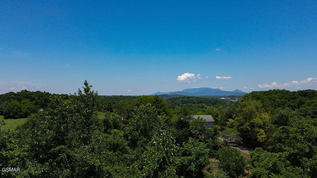 646 Sunrise Boulevard Sevierville TN 37862