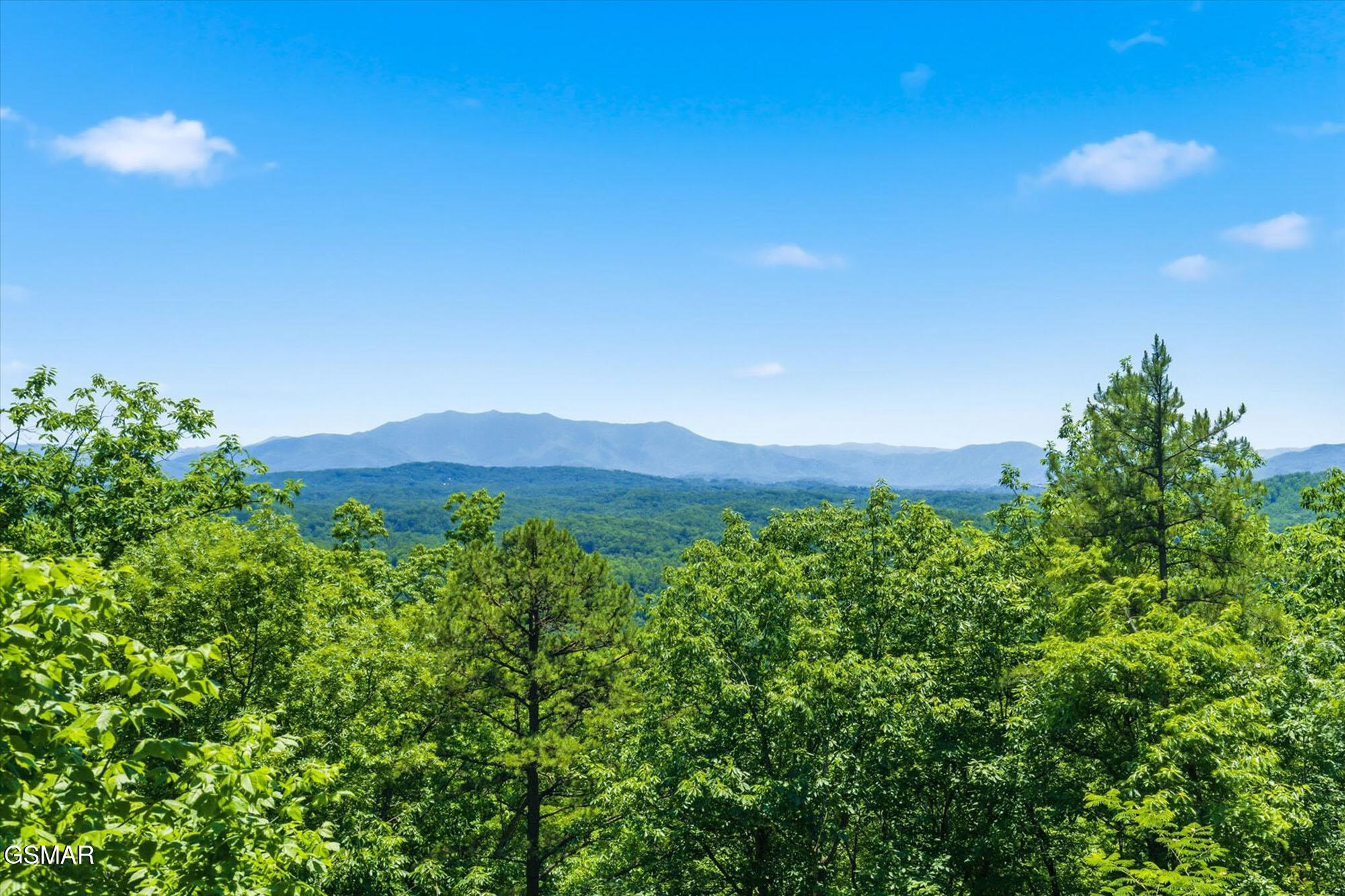 1846 Blue Tick Way Sevierville TN 37876