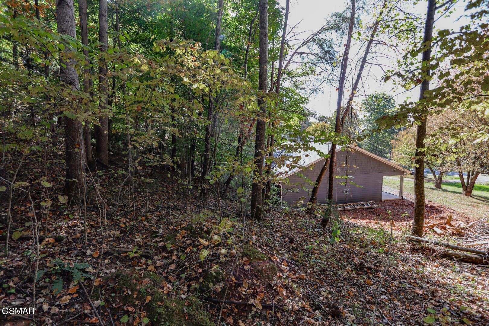 Par. 28.09 Piney Mountain Road Newport TN 37821