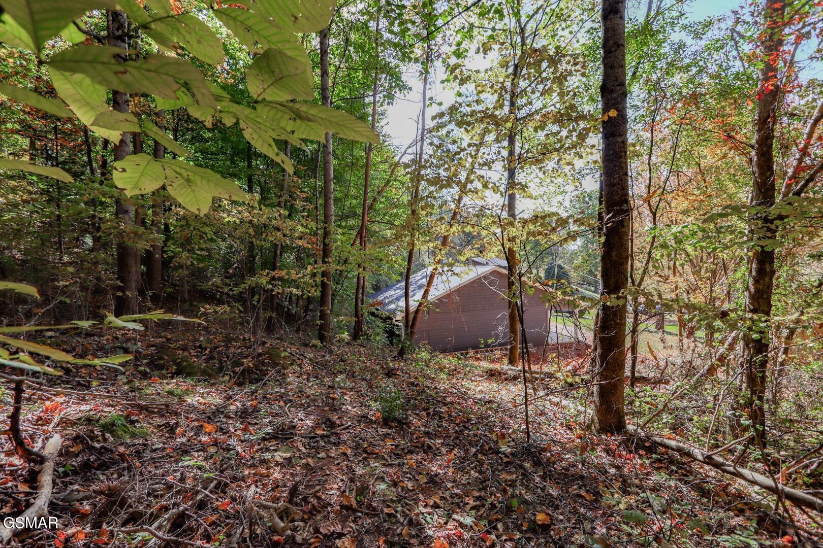 Par. 28.09 Piney Mountain Road Newport TN 37821