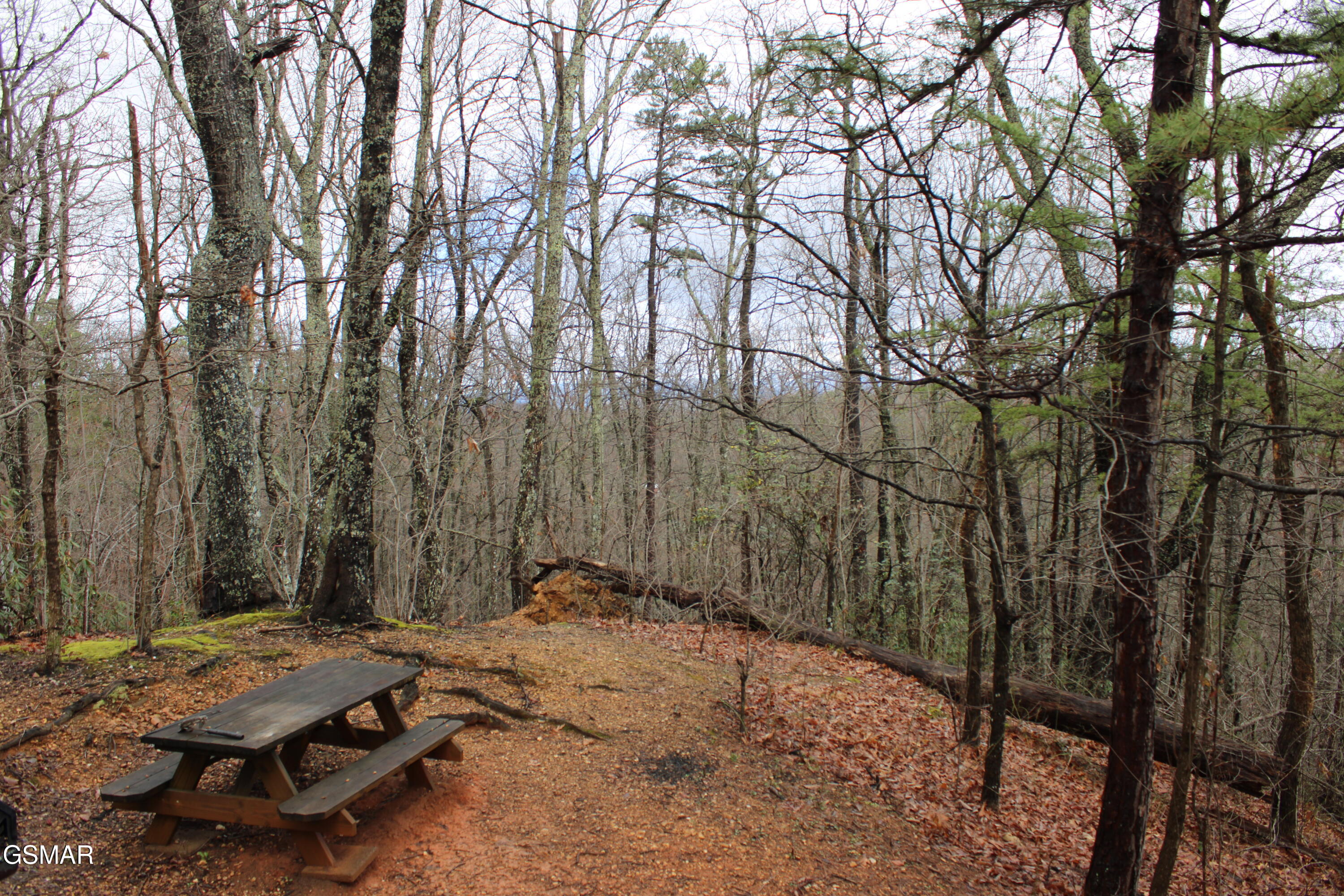 2232 E View Drive Sevierville TN 37876