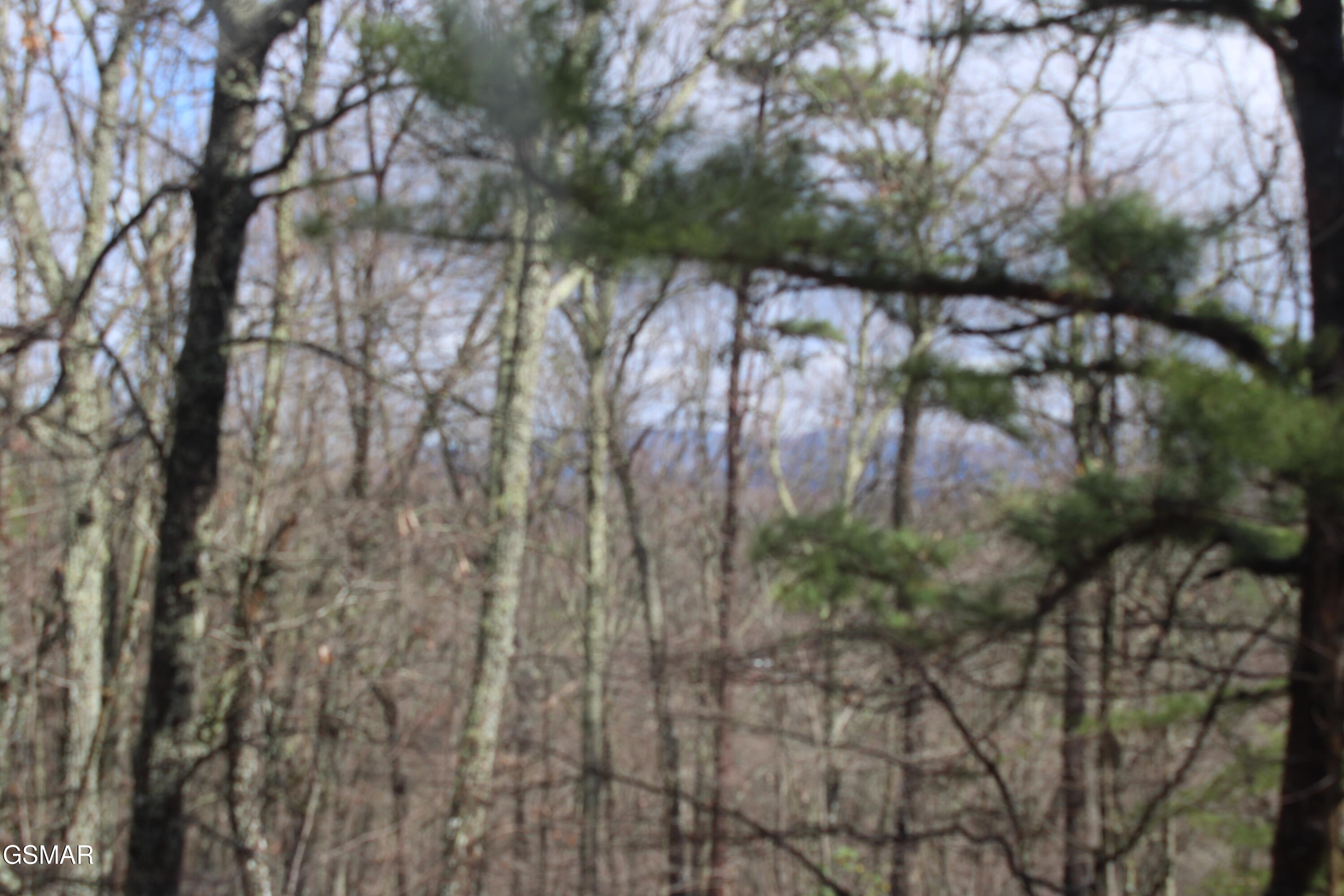 2232 E View Drive Sevierville TN 37876