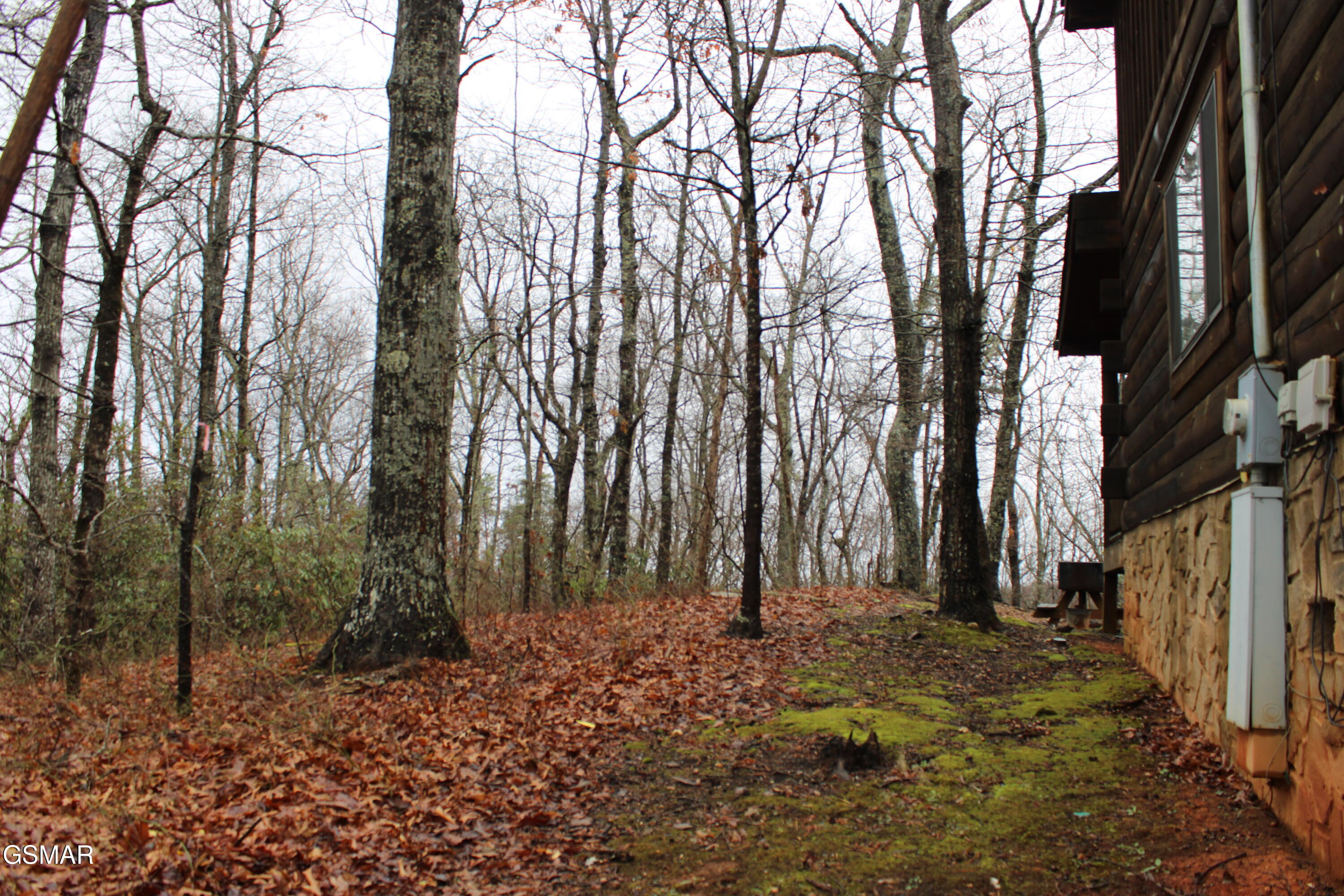 2232 E View Drive Sevierville TN 37876