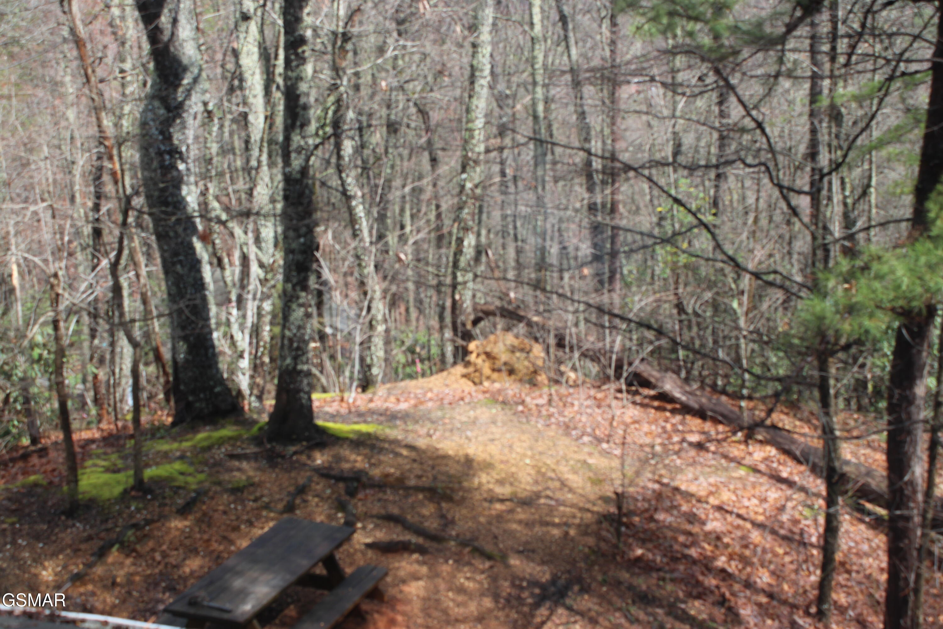2232 E View Drive Sevierville TN 37876