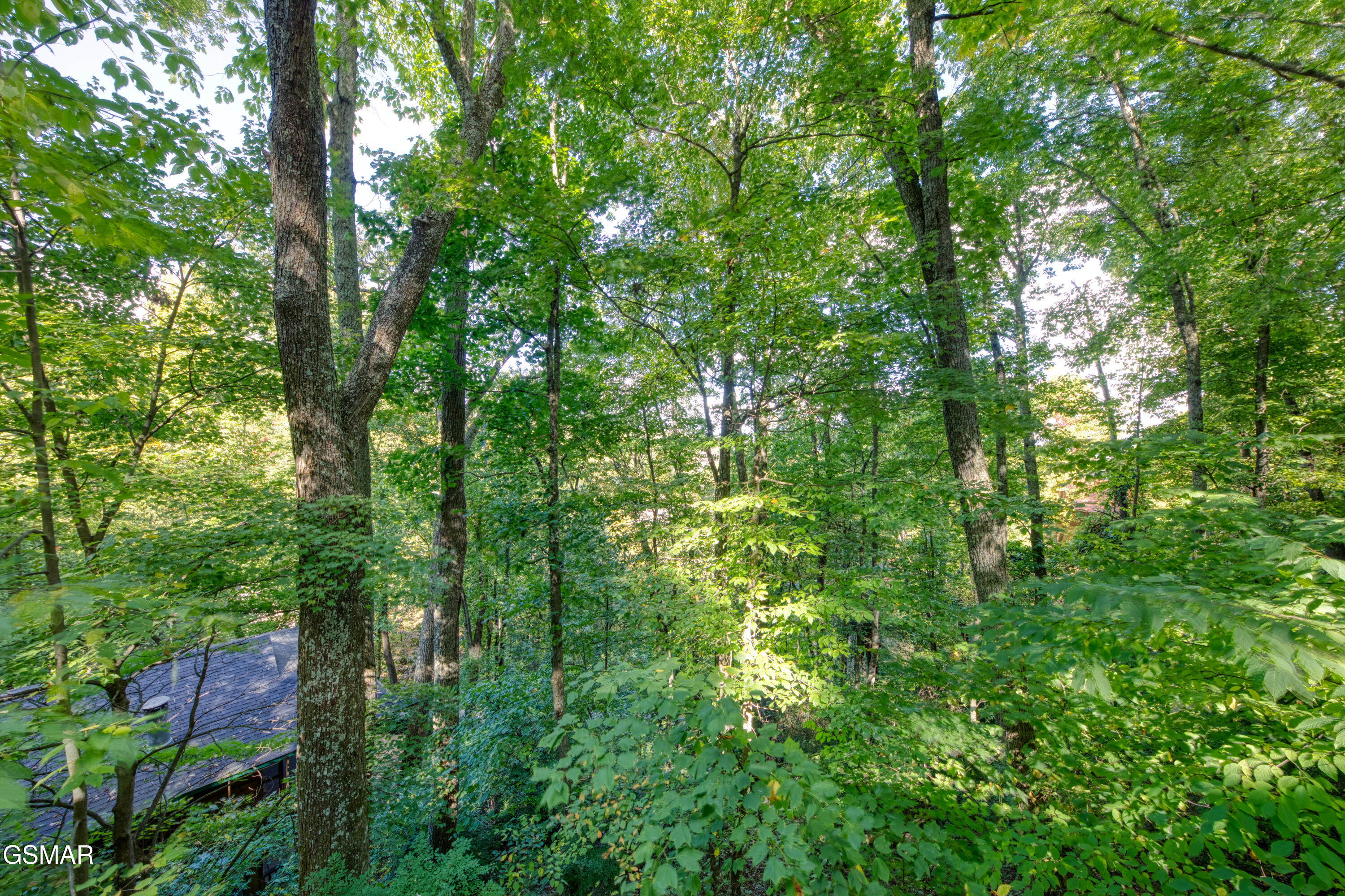 1429 Zurich Road Gatlinburg TN 37738