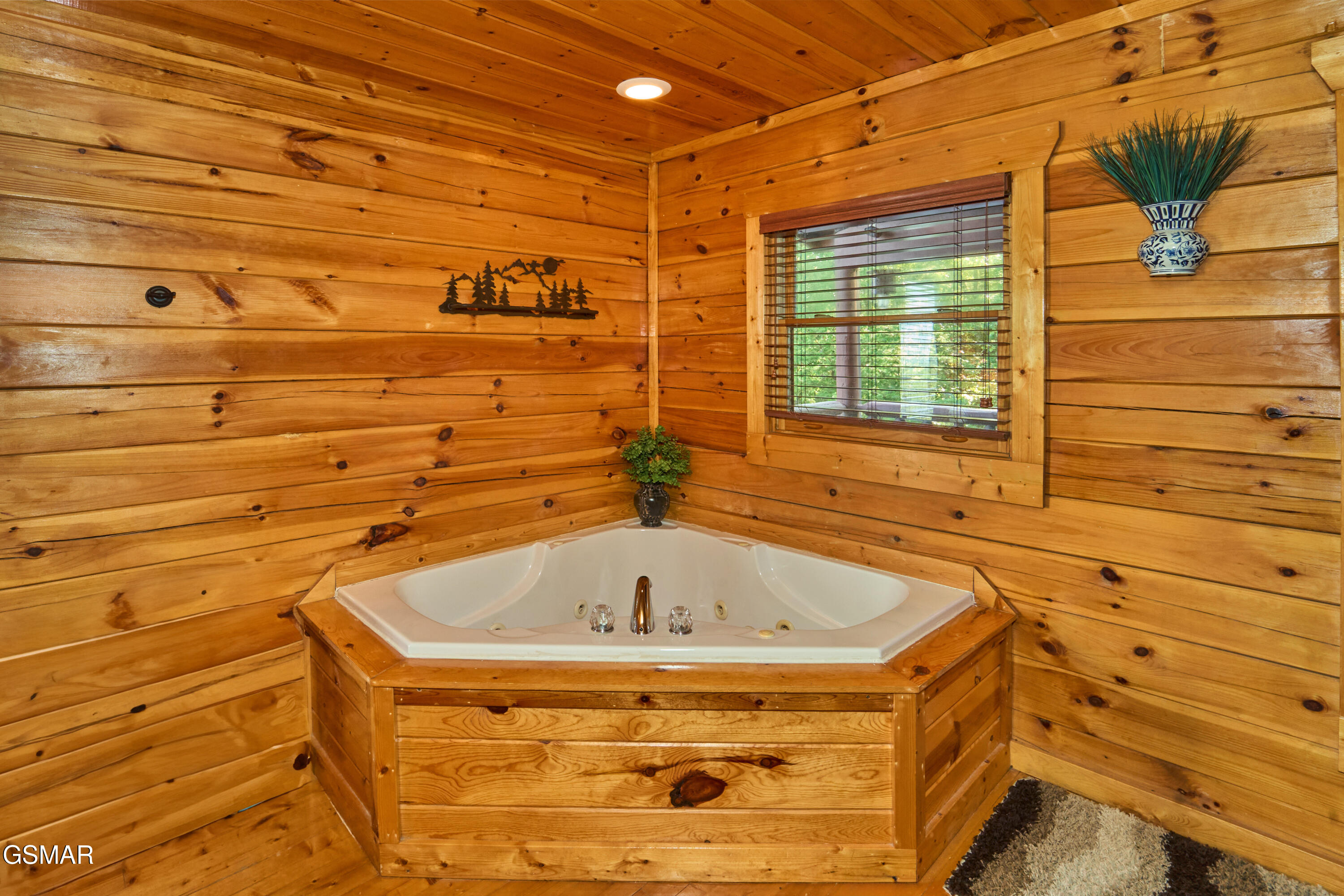 2251 Upper Middle Creek Road Sevierville TN 37876