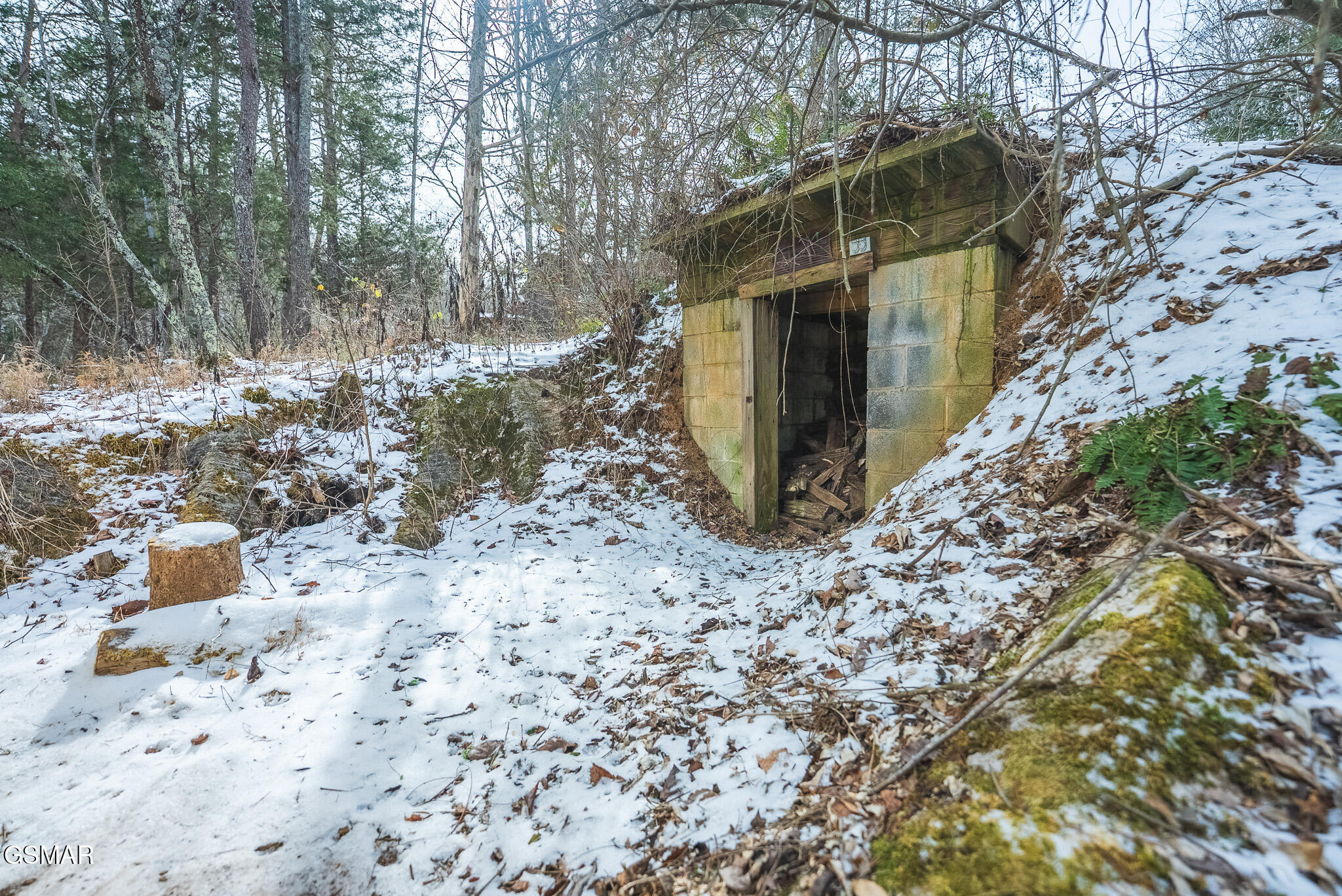 170 Dalson Road Sneedville TN 37869