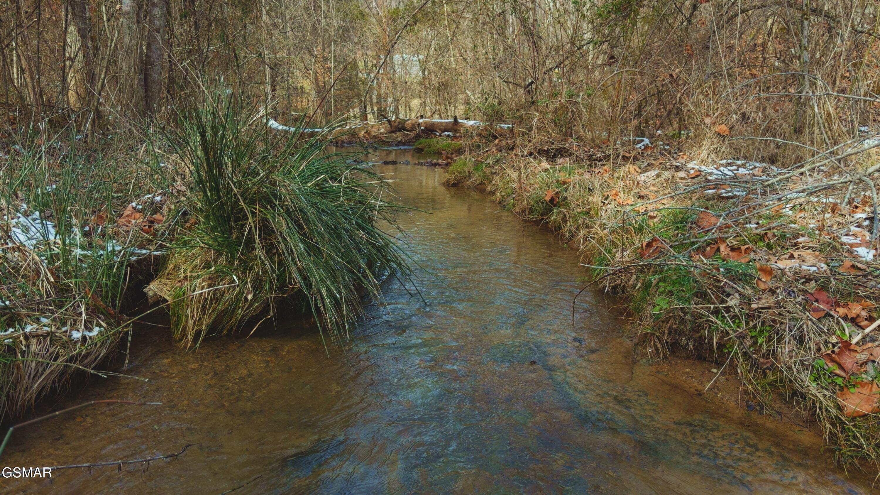 170 Dalson Road Sneedville TN 37869