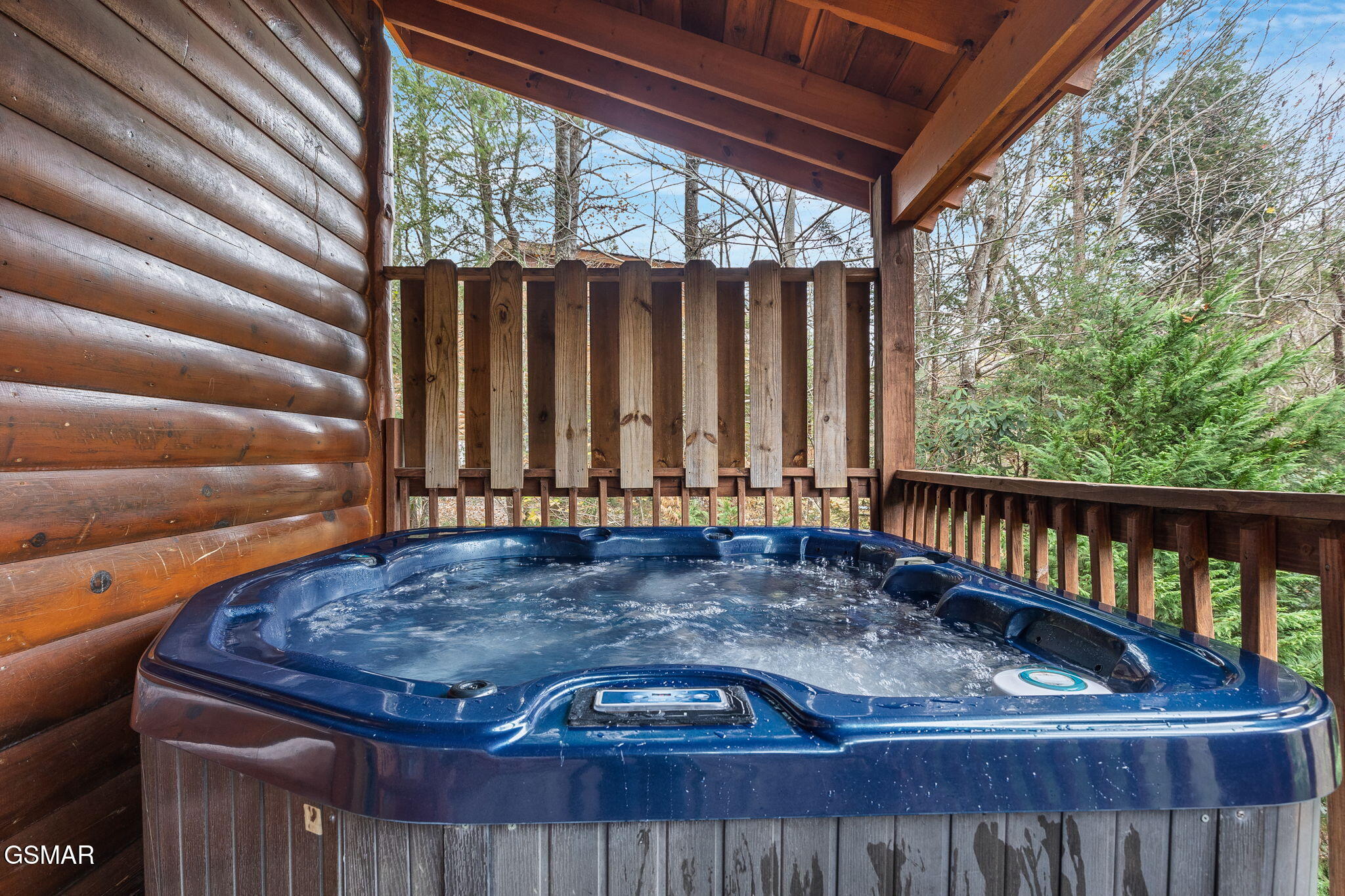 203 Amet Way Cosby TN 37722