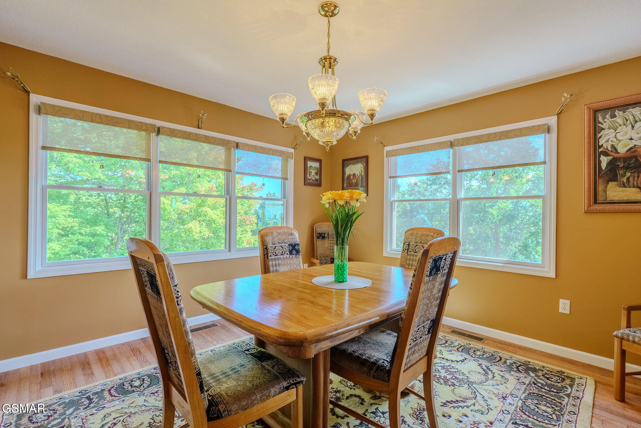 954 Pawnee Court Sevierville TN 37876