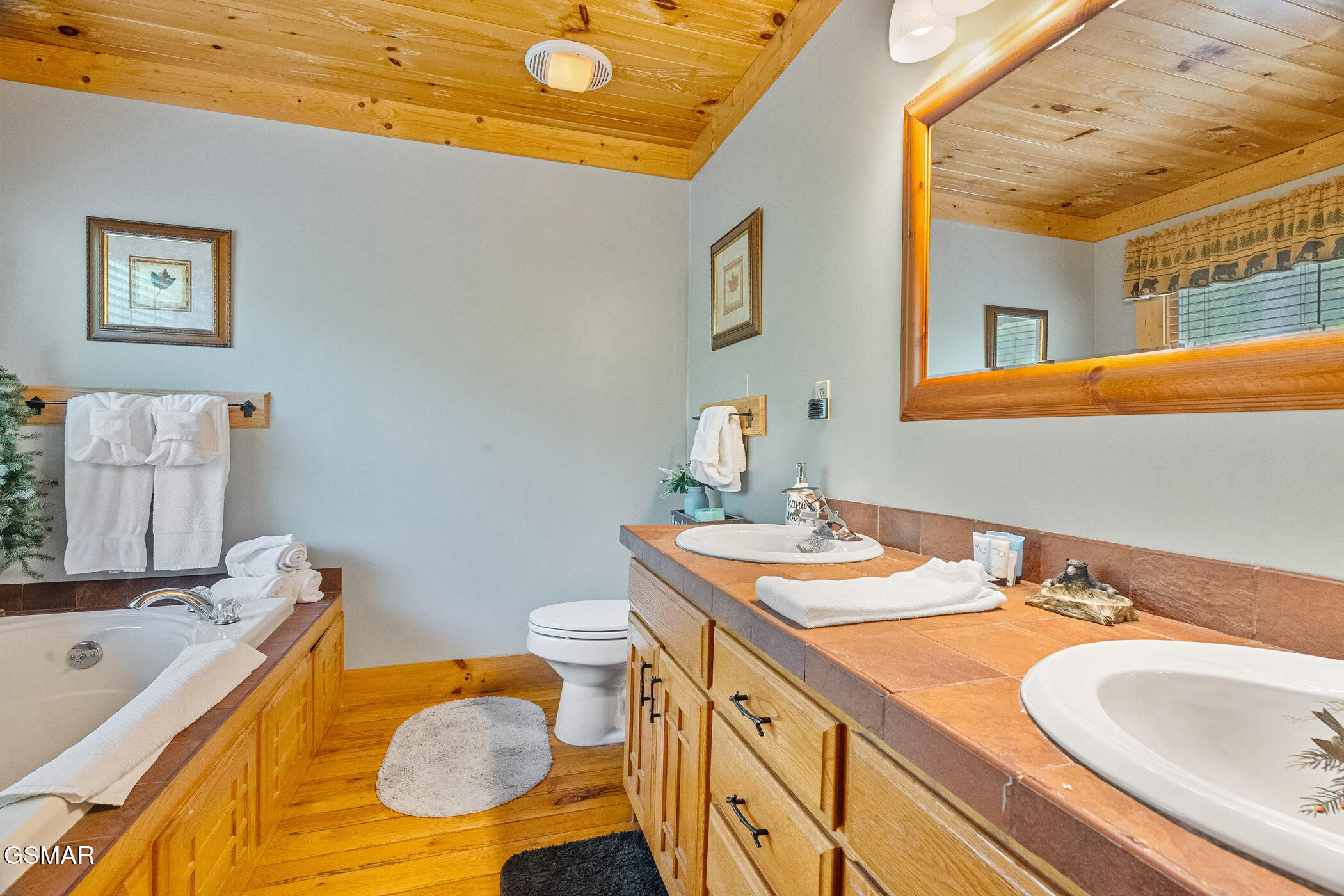 3751 Line Springs Lane Sevierville TN 37862