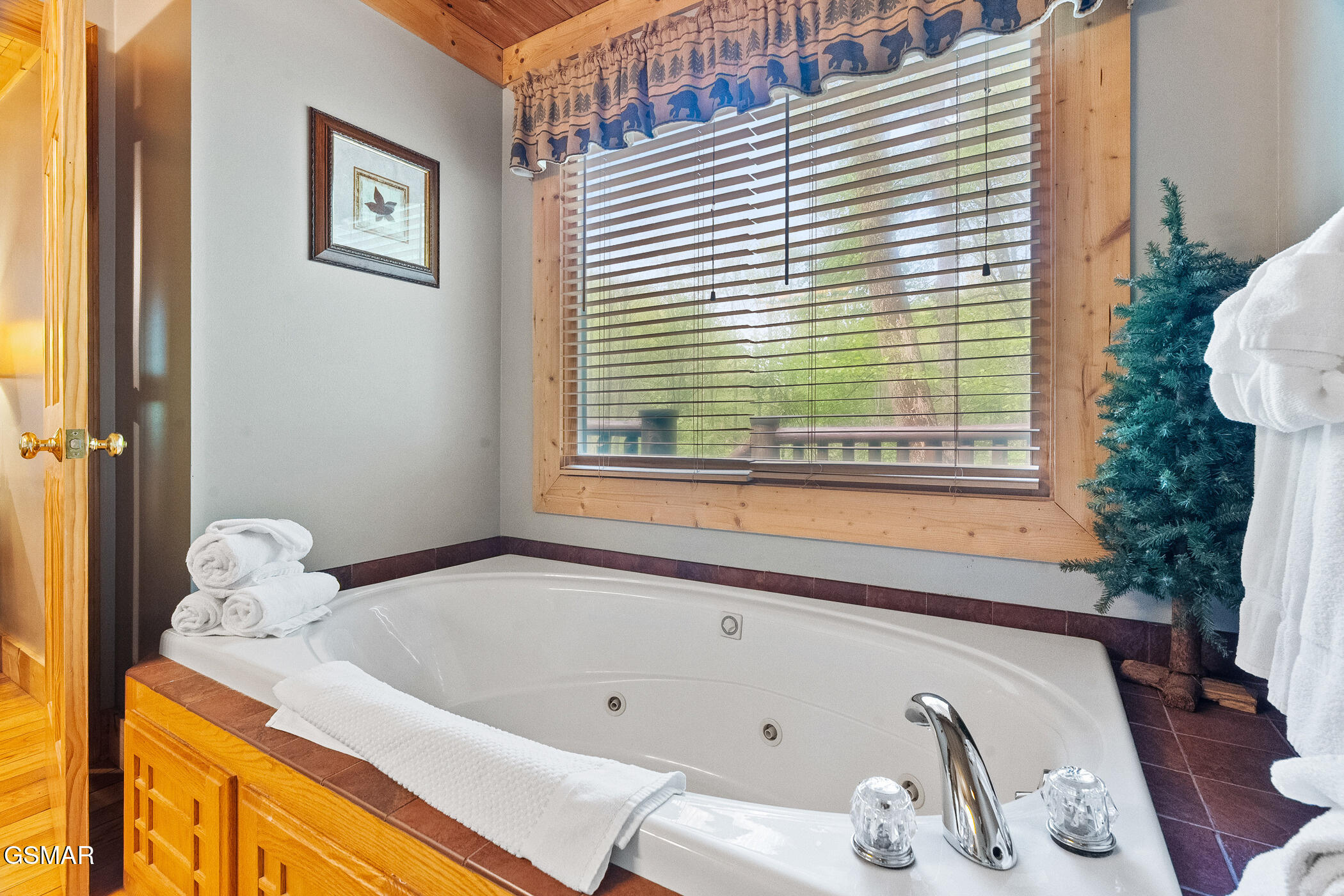 3751 Line Springs Lane Sevierville TN 37862