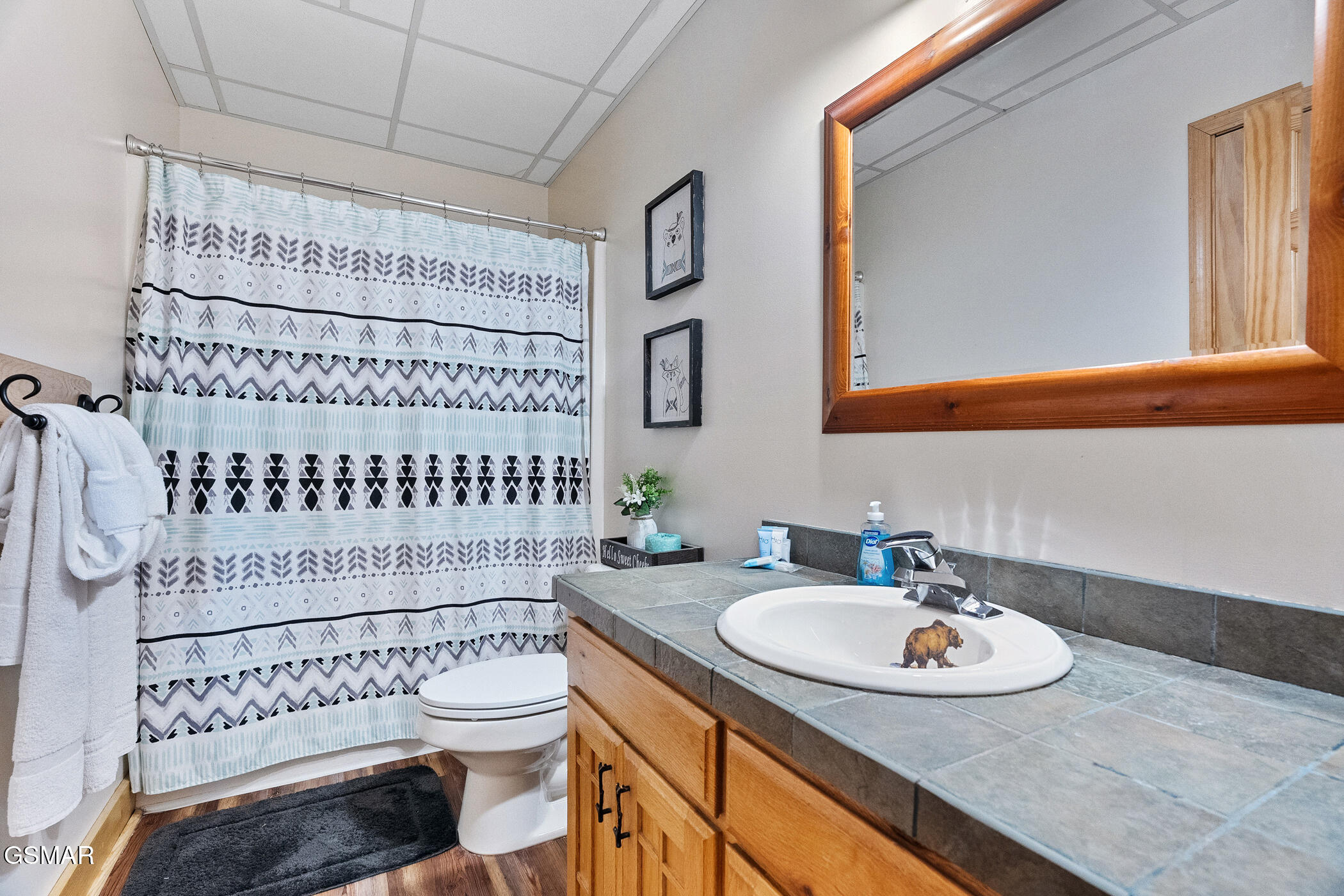 3751 Line Springs Lane Sevierville TN 37862