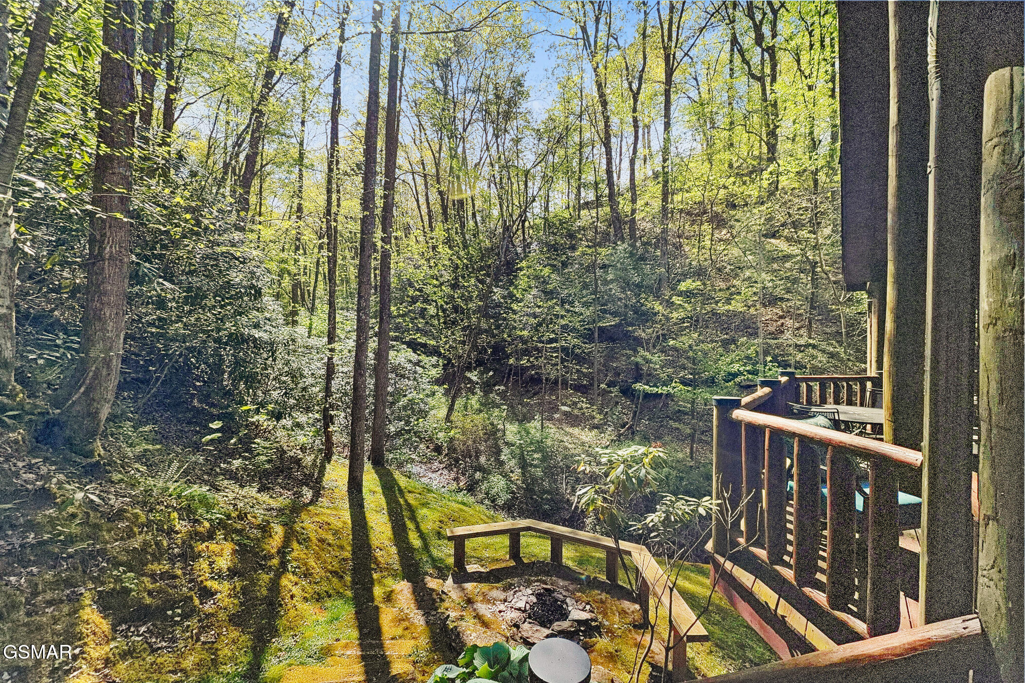 3751 Line Springs Lane Sevierville TN 37862