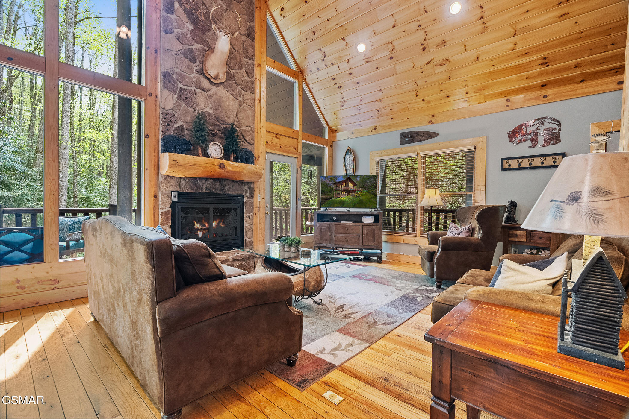 3751 Line Springs Lane Sevierville TN 37862