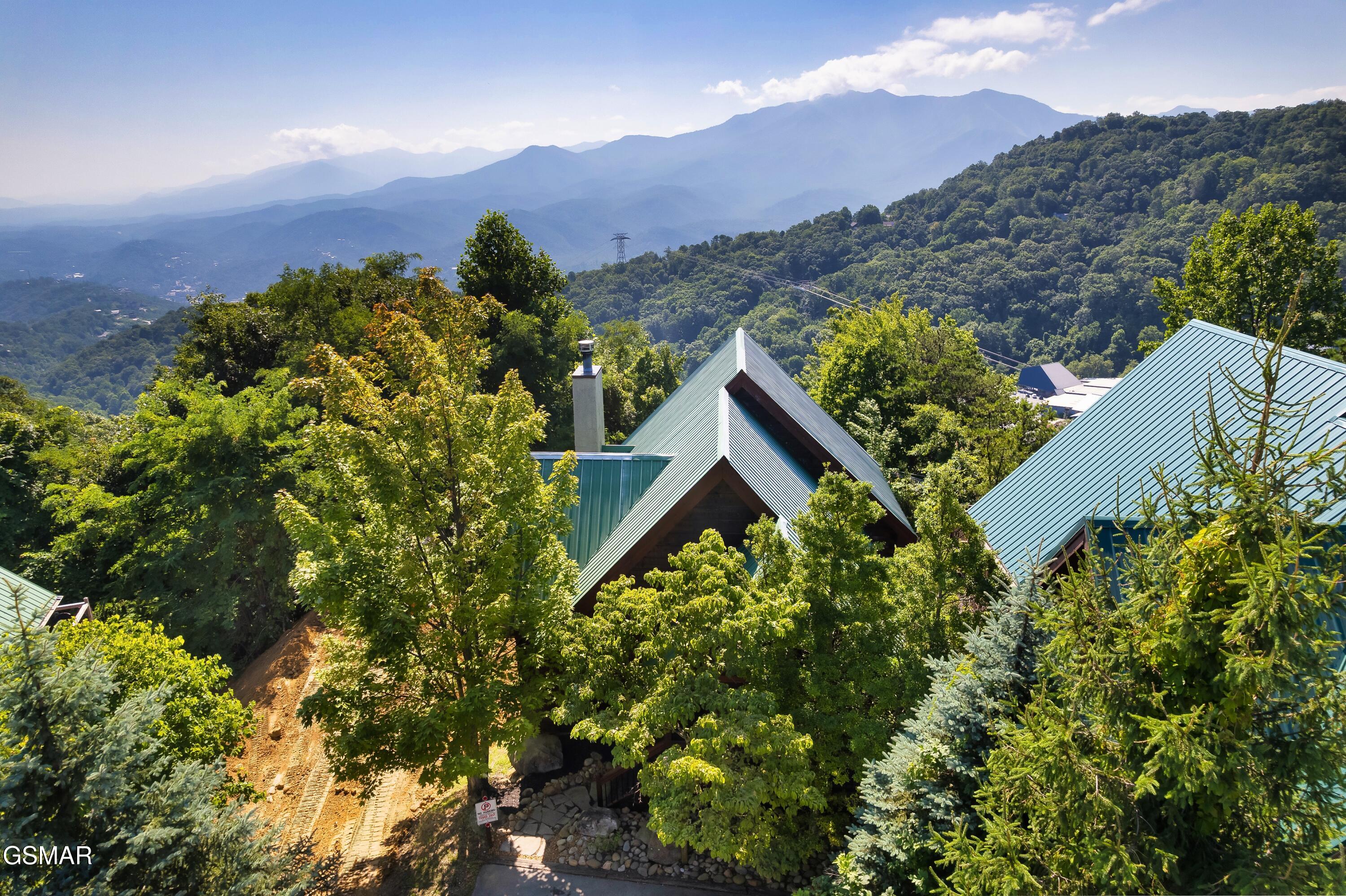 1266 Bear Cub Way Gatlinburg TN 37738