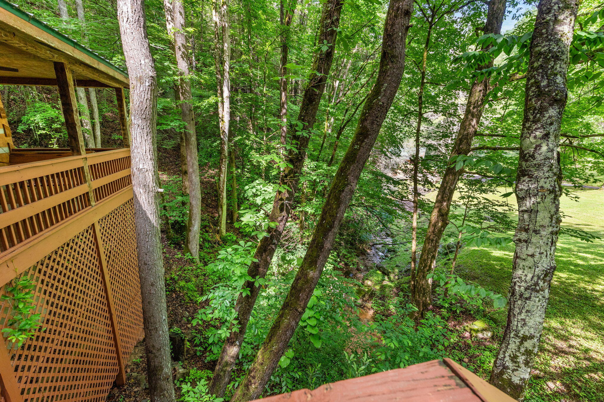 2653 Black Walnut Flats Road Sevierville TN 37862