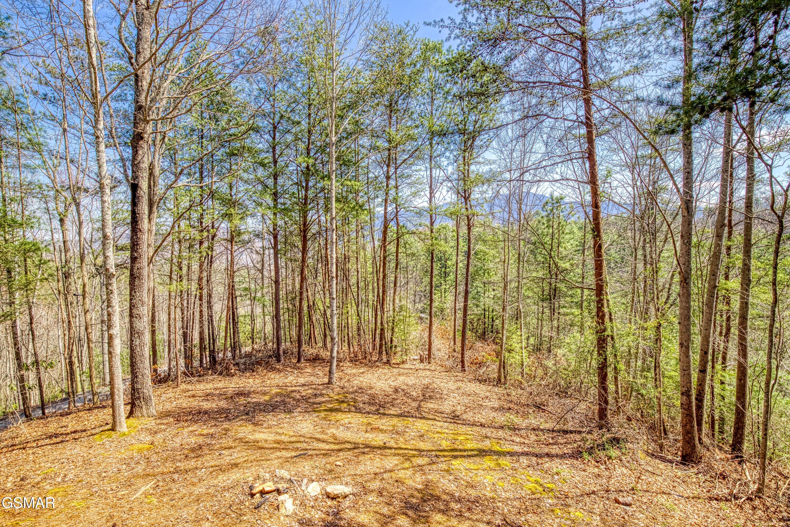 2752 Blue Springs Way Sevierville TN 37862