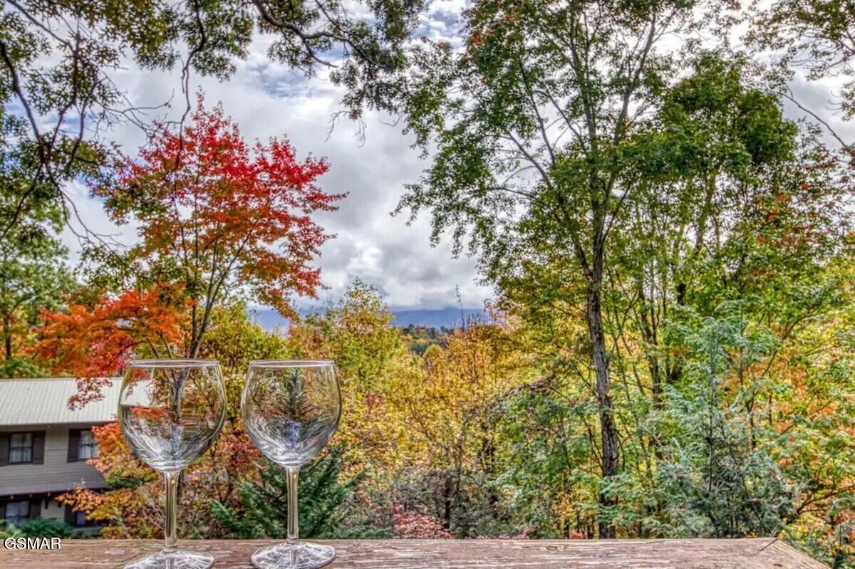 924 Stans Court Gatlinburg TN 37738