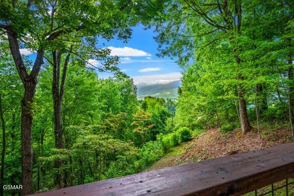 514 Deer Path Lane Gatlinburg TN 37738
