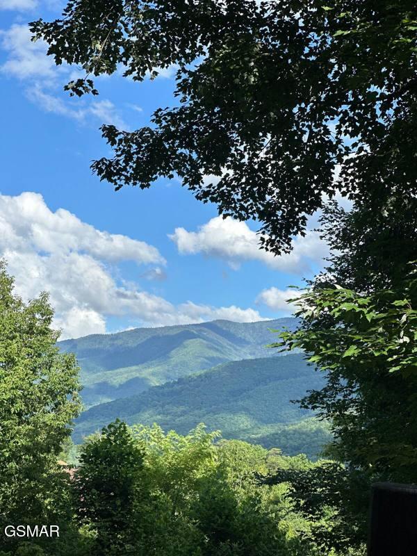 514 Deer Path Lane Gatlinburg TN 37738